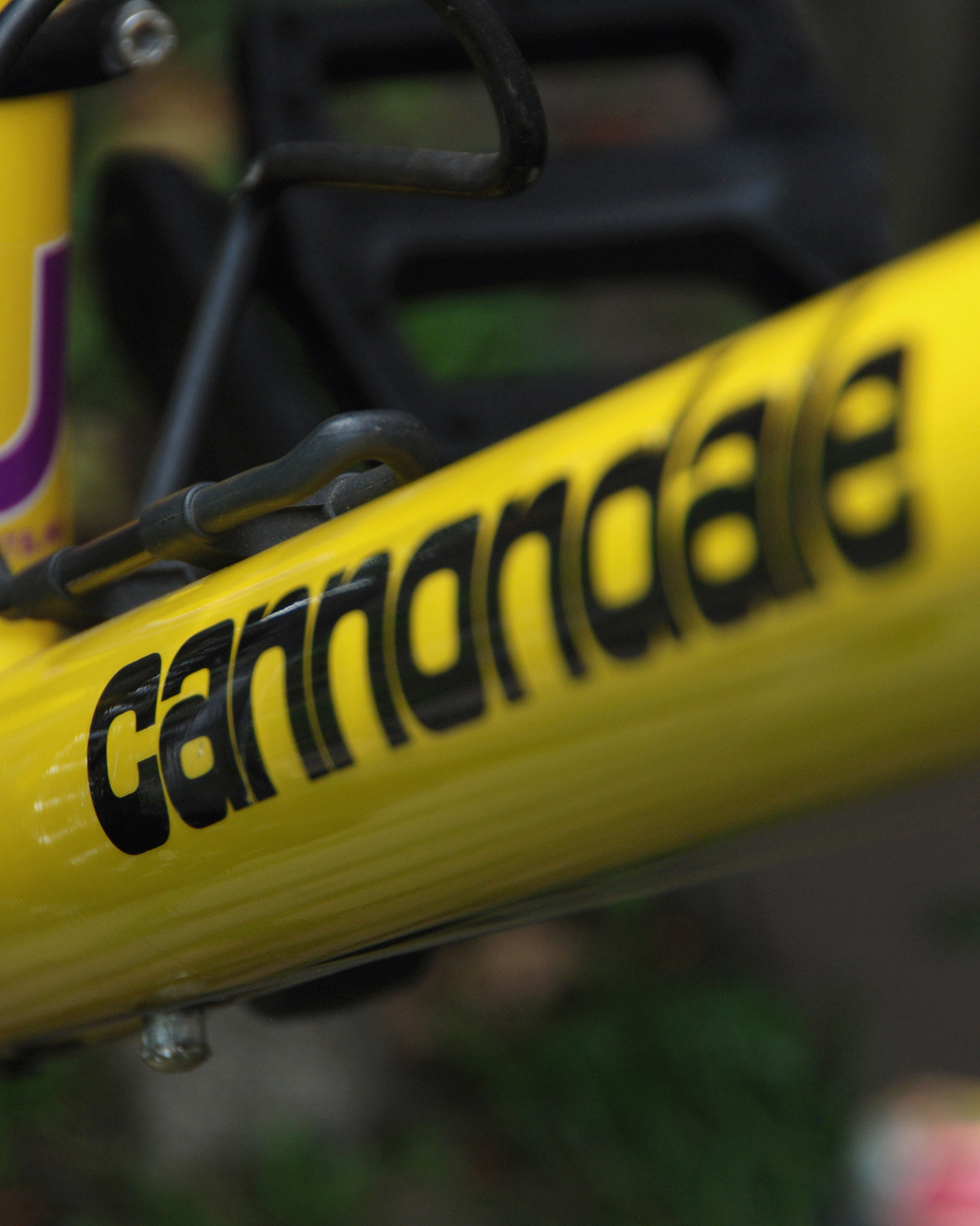 Cannondale Beast to the east M800