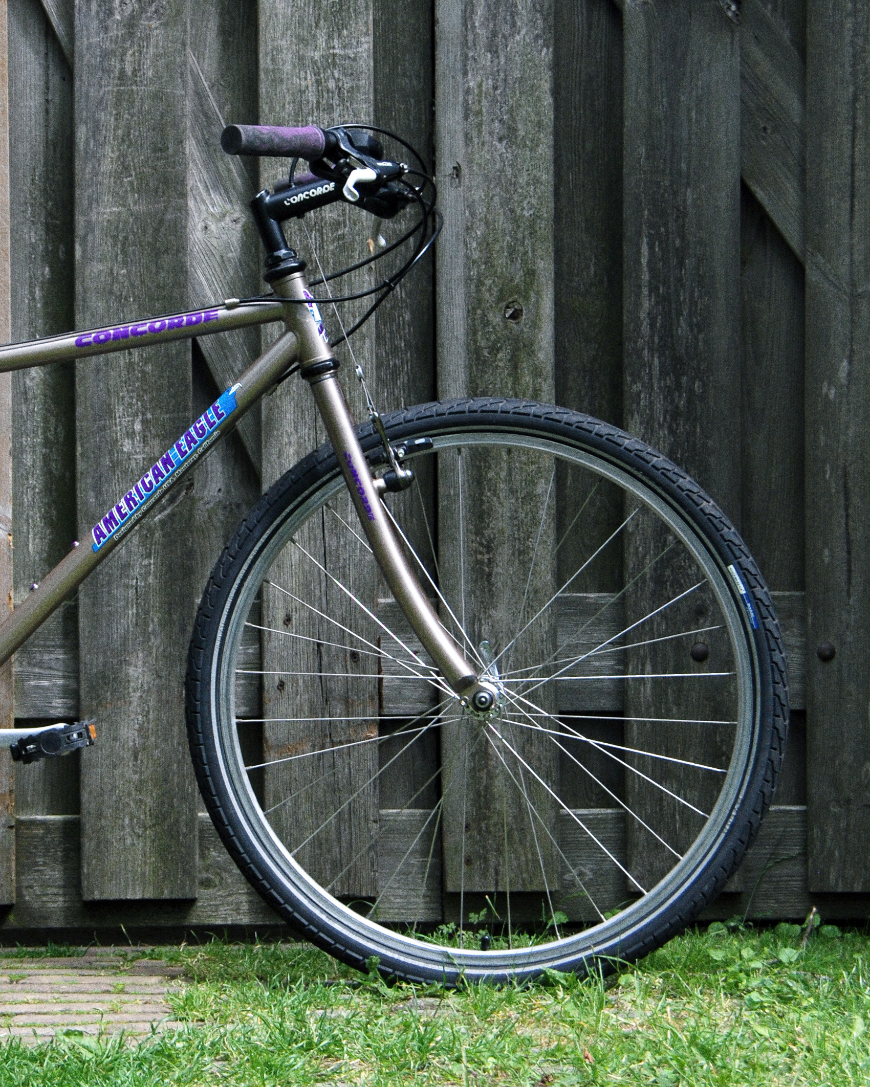 American Eagle  703