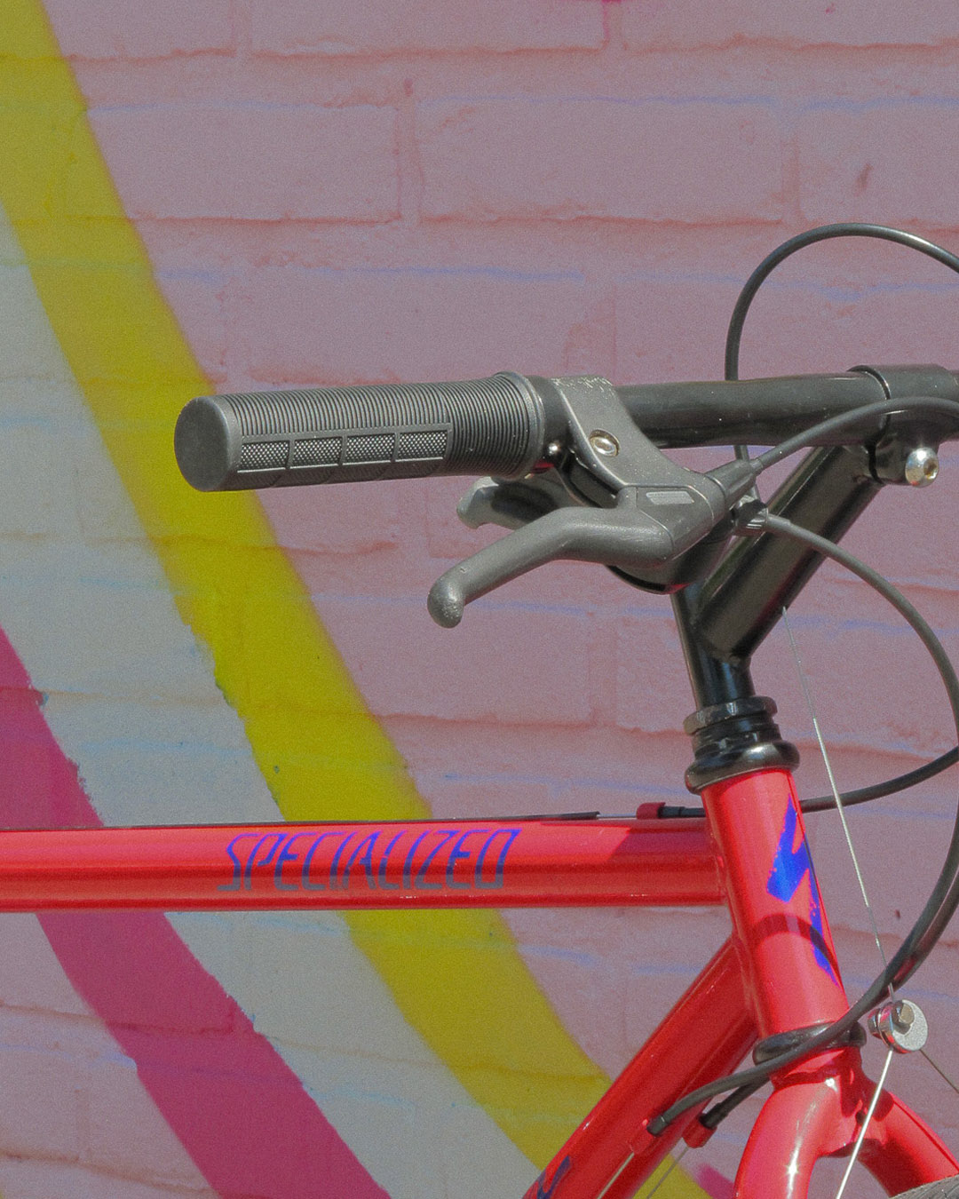 Specialized Rockhopper 1991