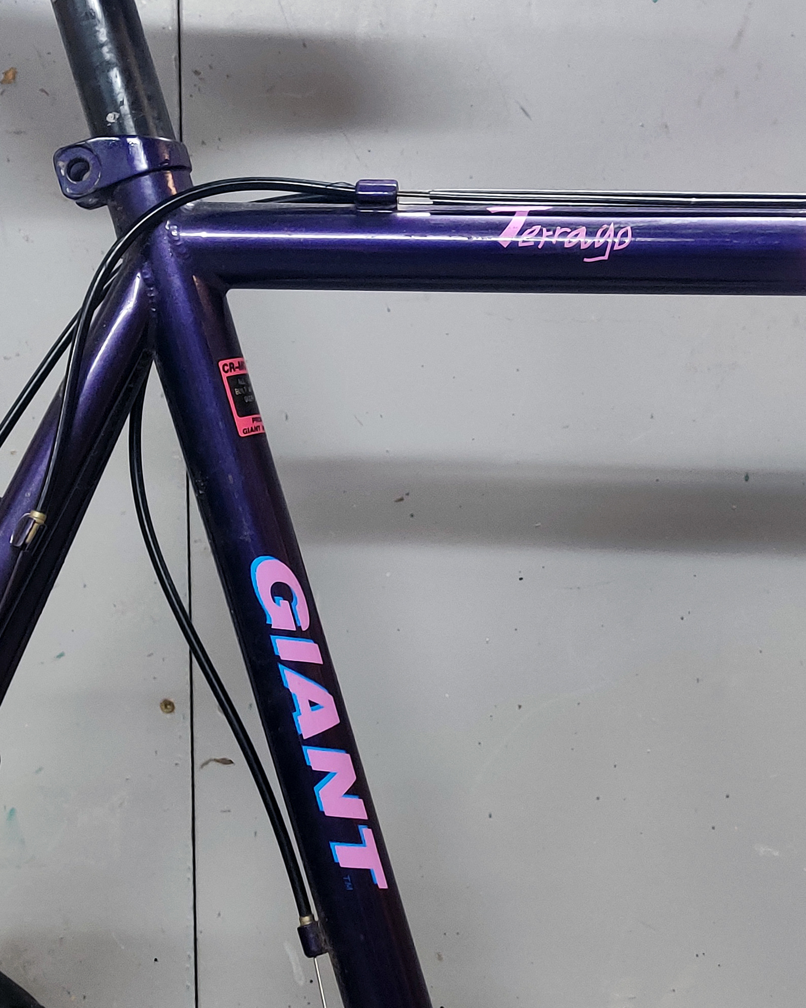 Giant Terrago