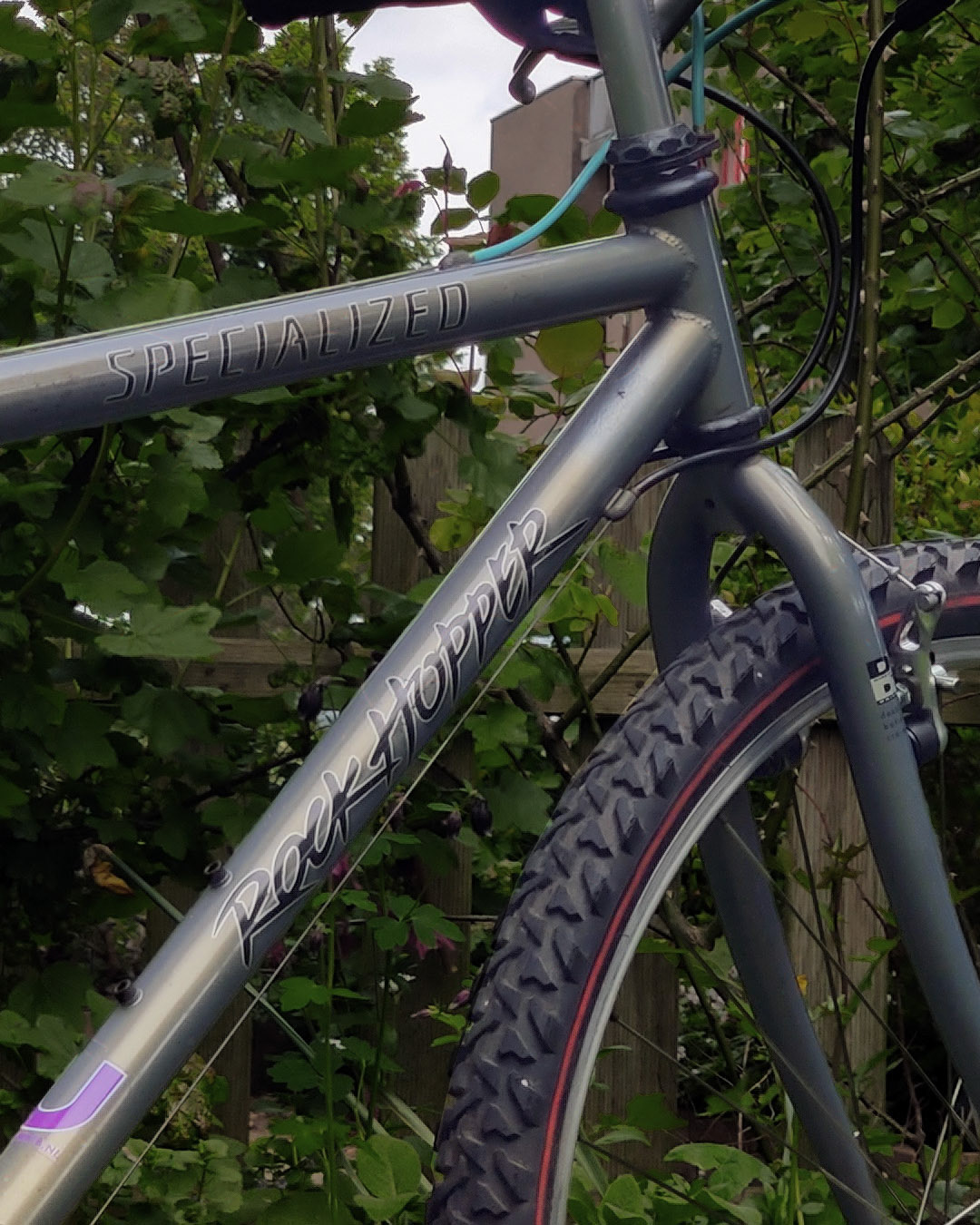 Specialized Rockhopper