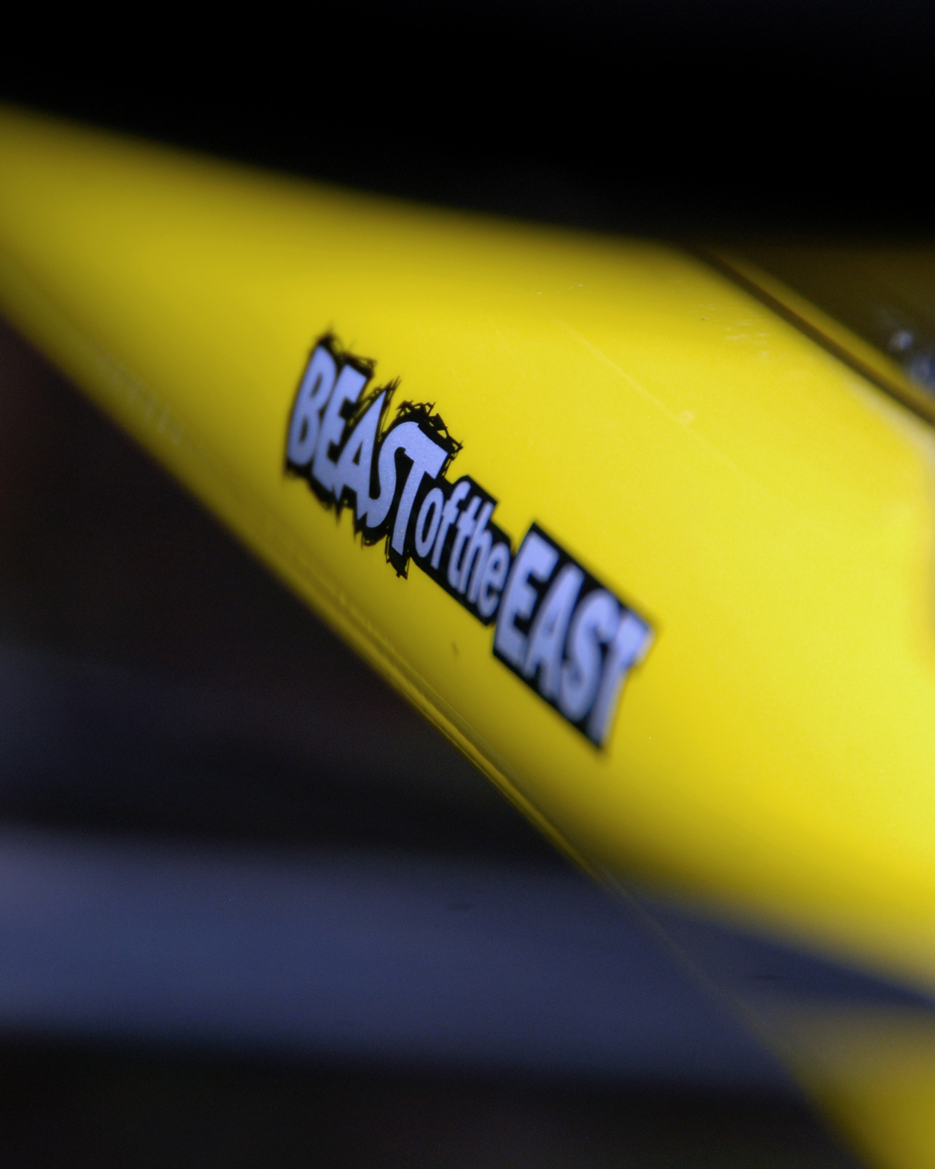 Cannondale Beast to the east M800