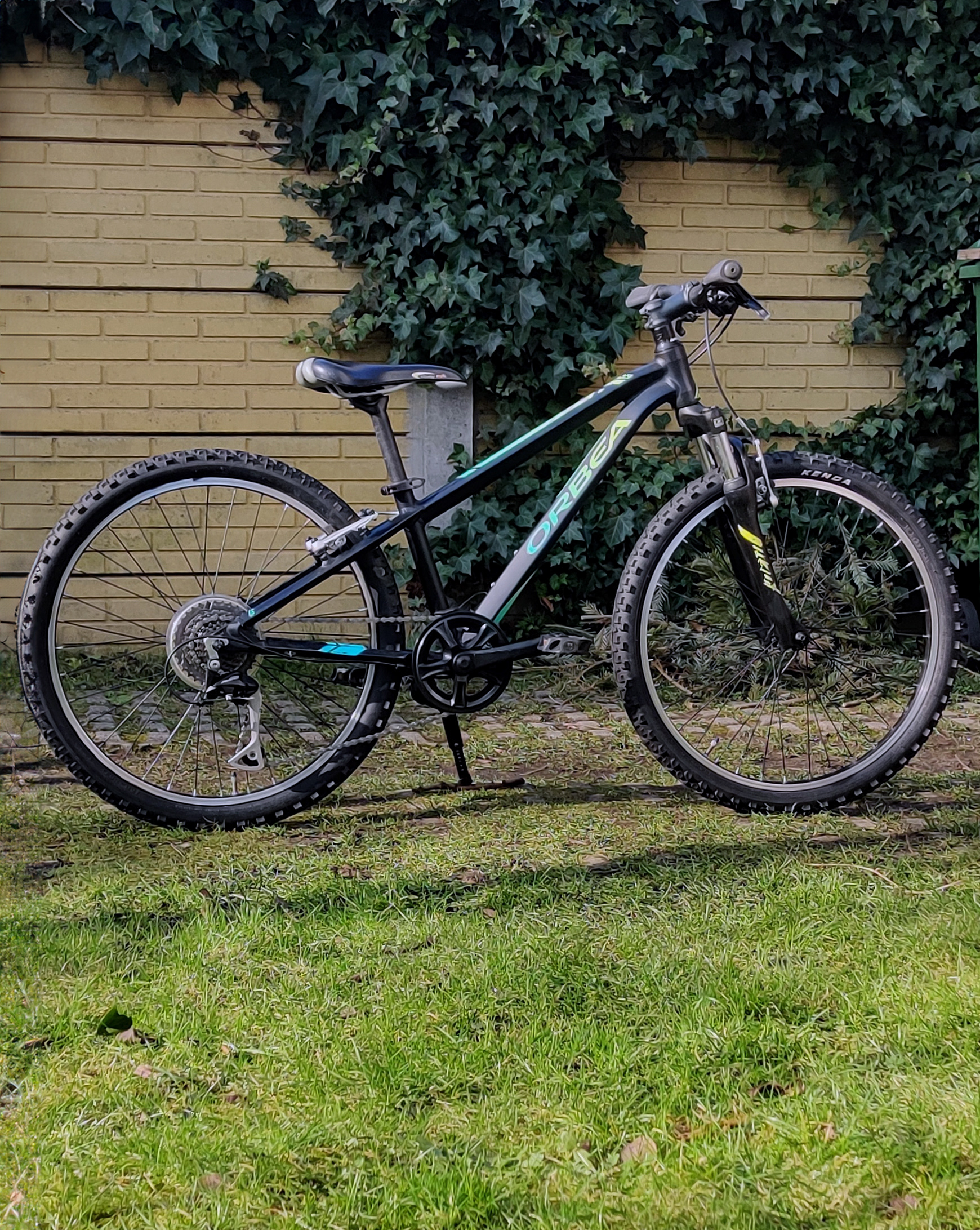 Orbea mx 24