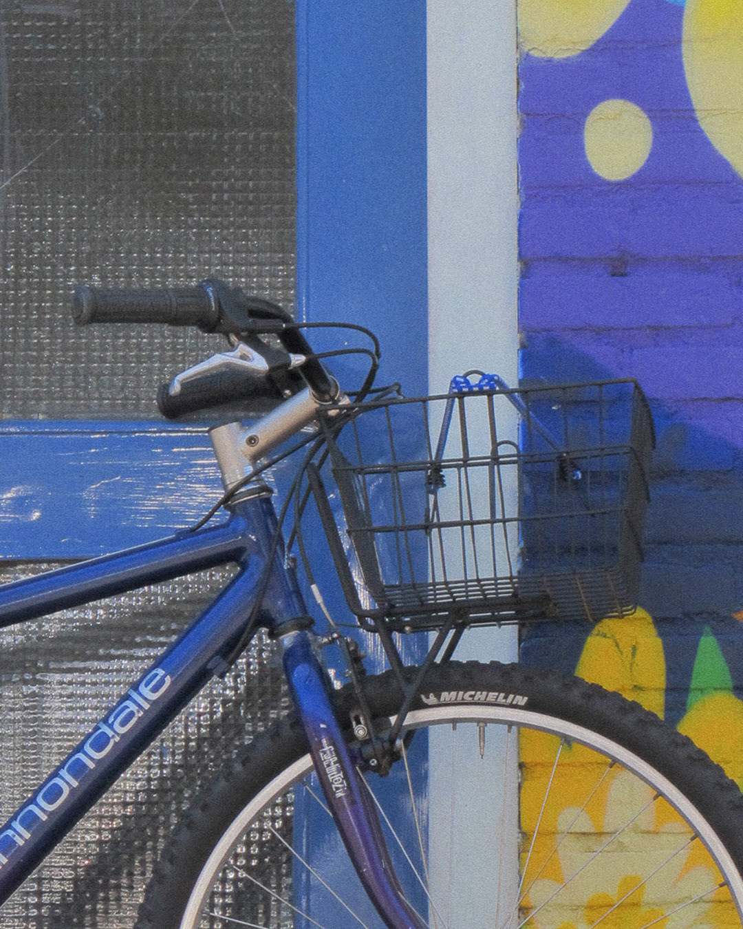 Cannondale M600