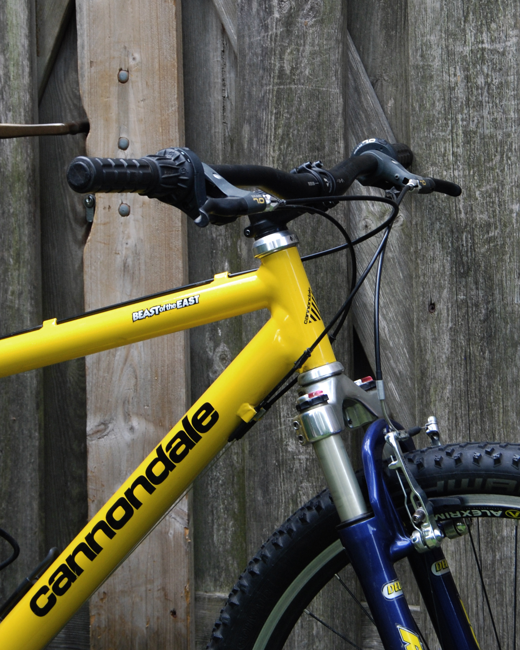 Cannondale Beast to the east M800