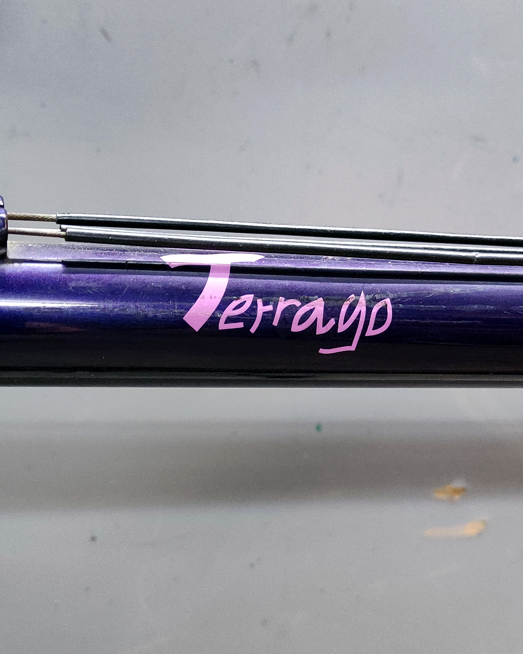 Giant Terrago