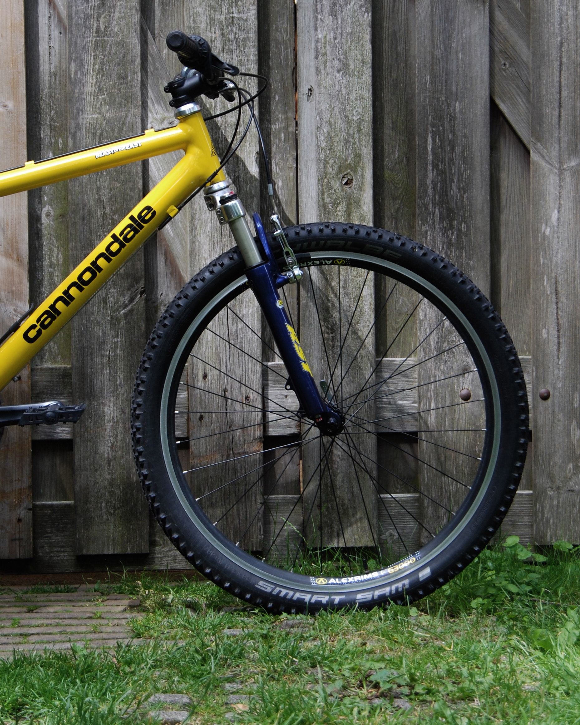 Cannondale Beast to the east M800