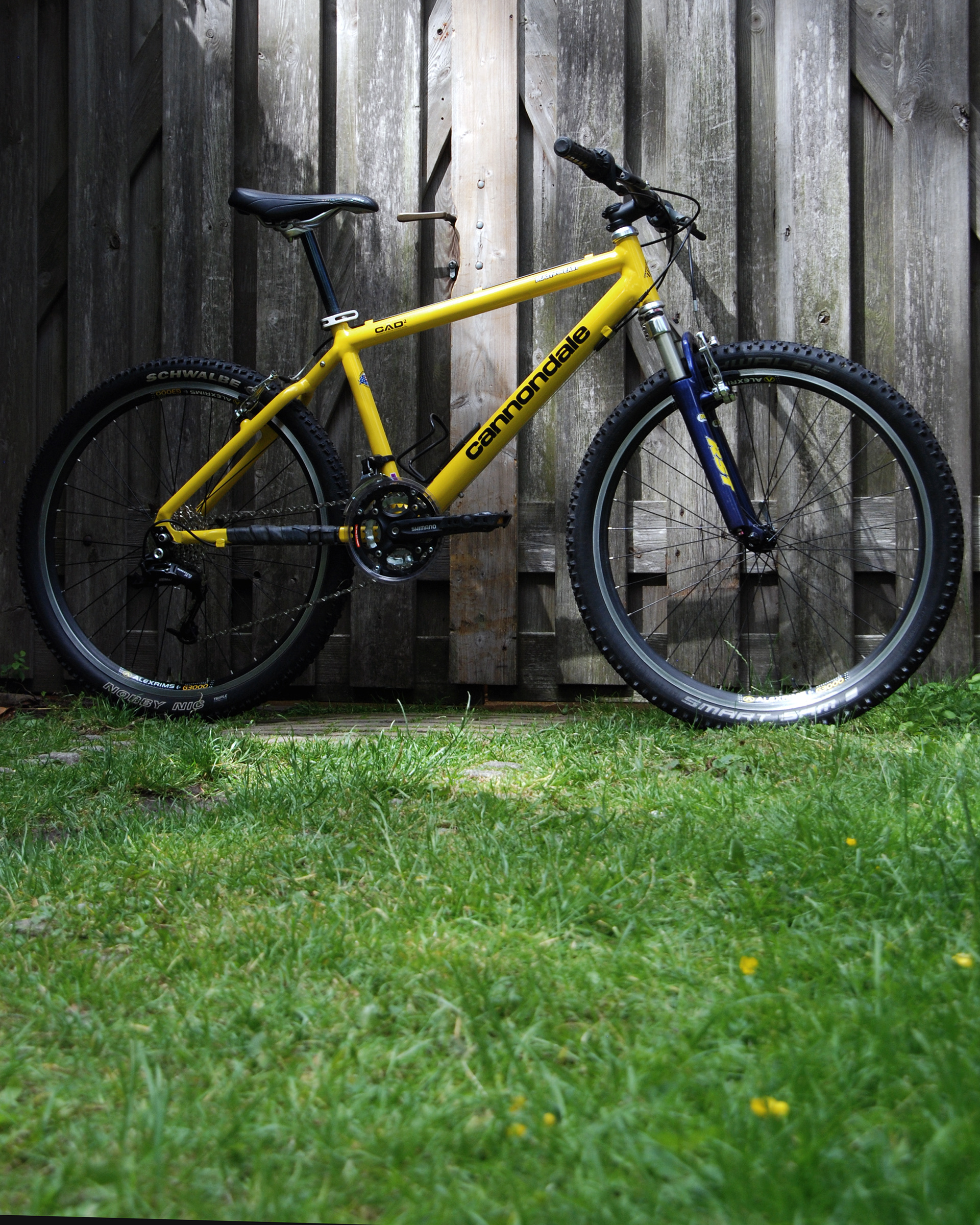 Cannondale Beast to the east M800