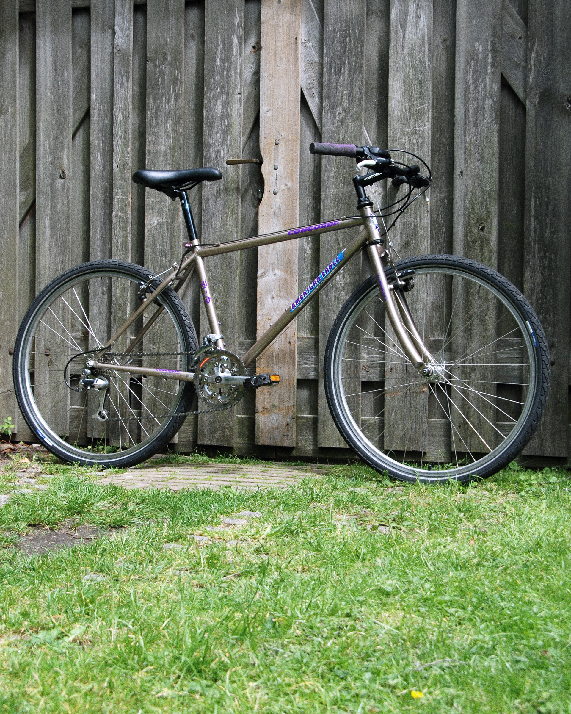 American Eagle  703