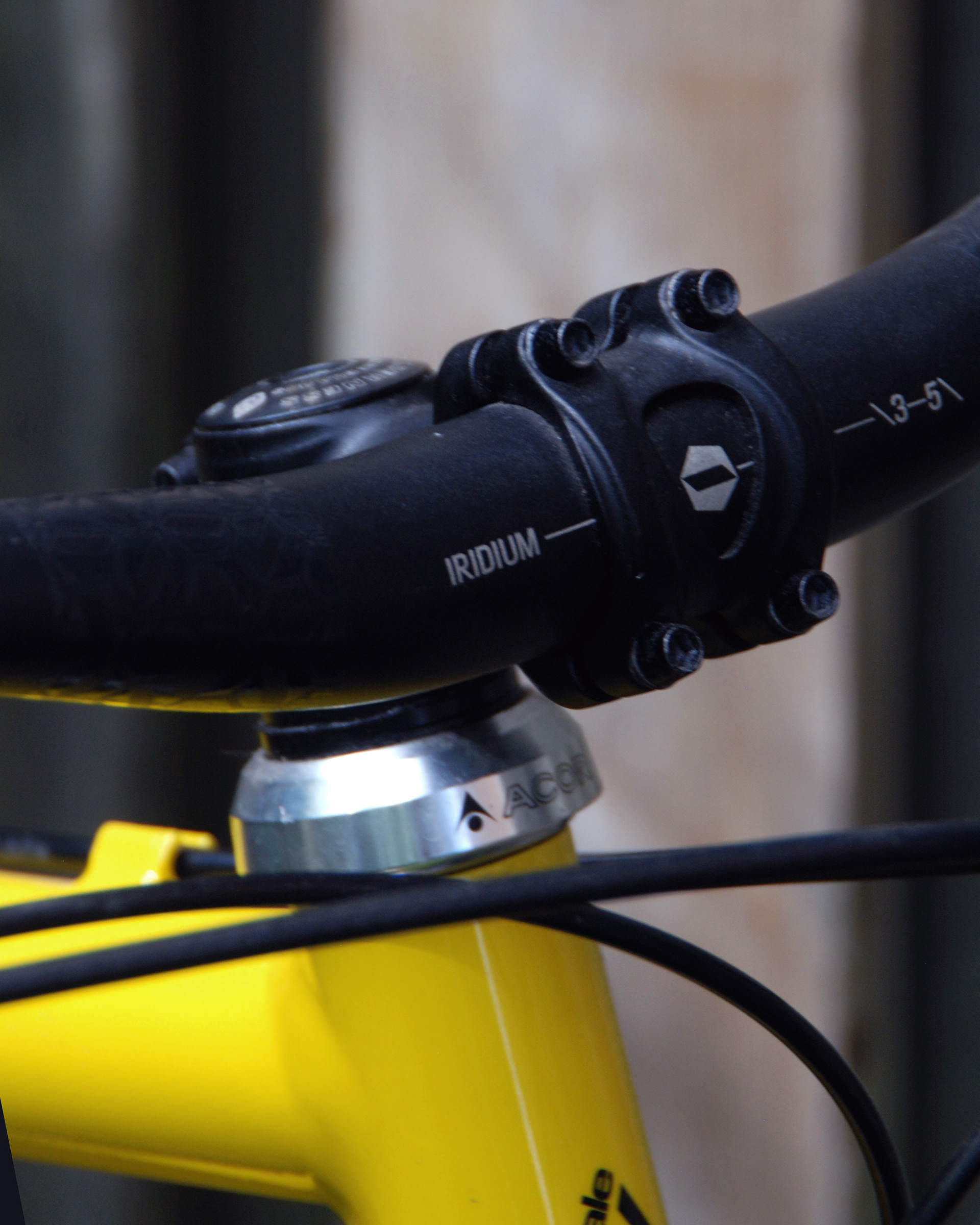 Cannondale Beast to the east M800