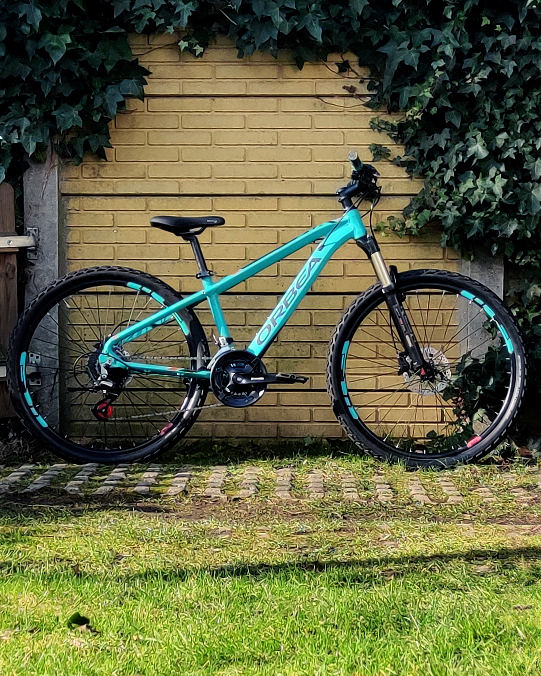 Orbea MX26