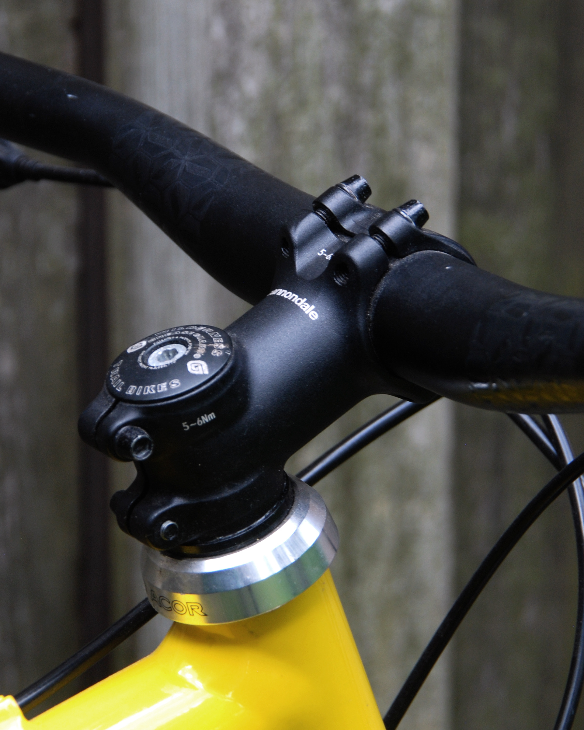 Cannondale Beast to the east M800