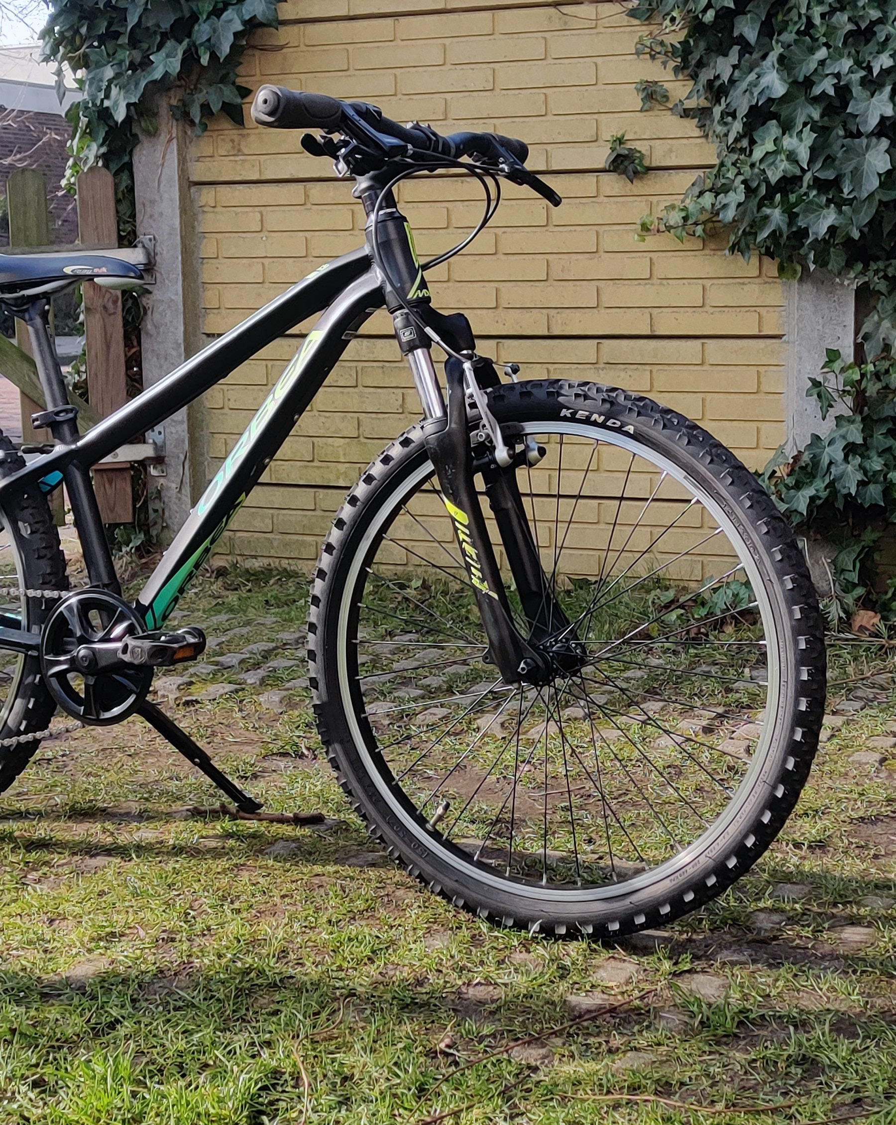 Orbea mx 24