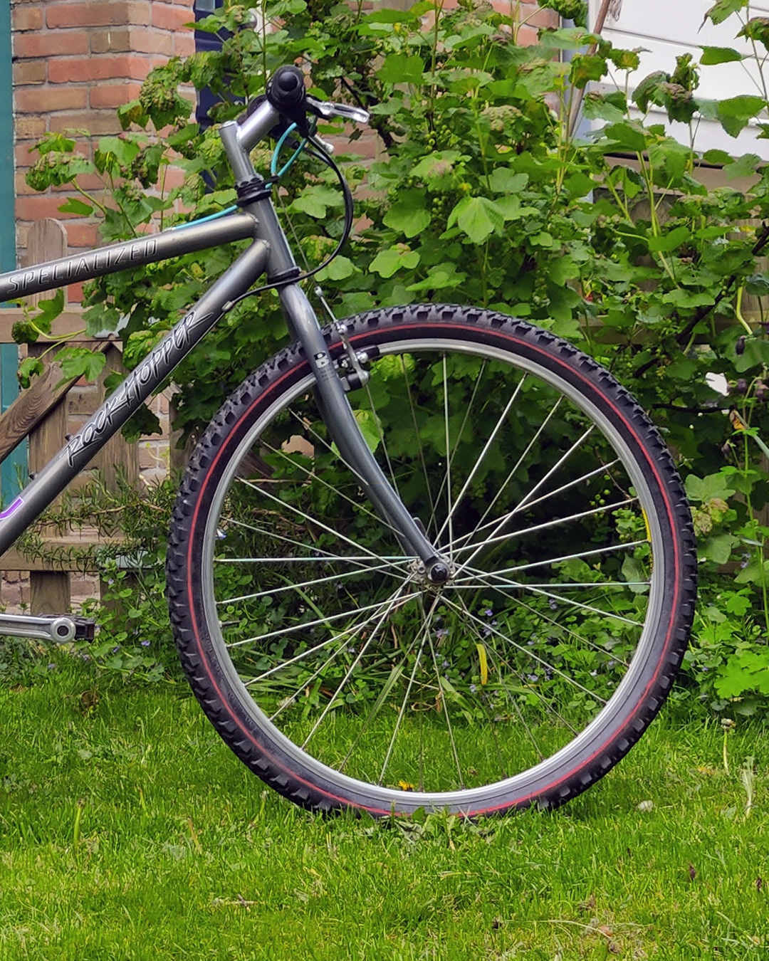Specialized Rockhopper