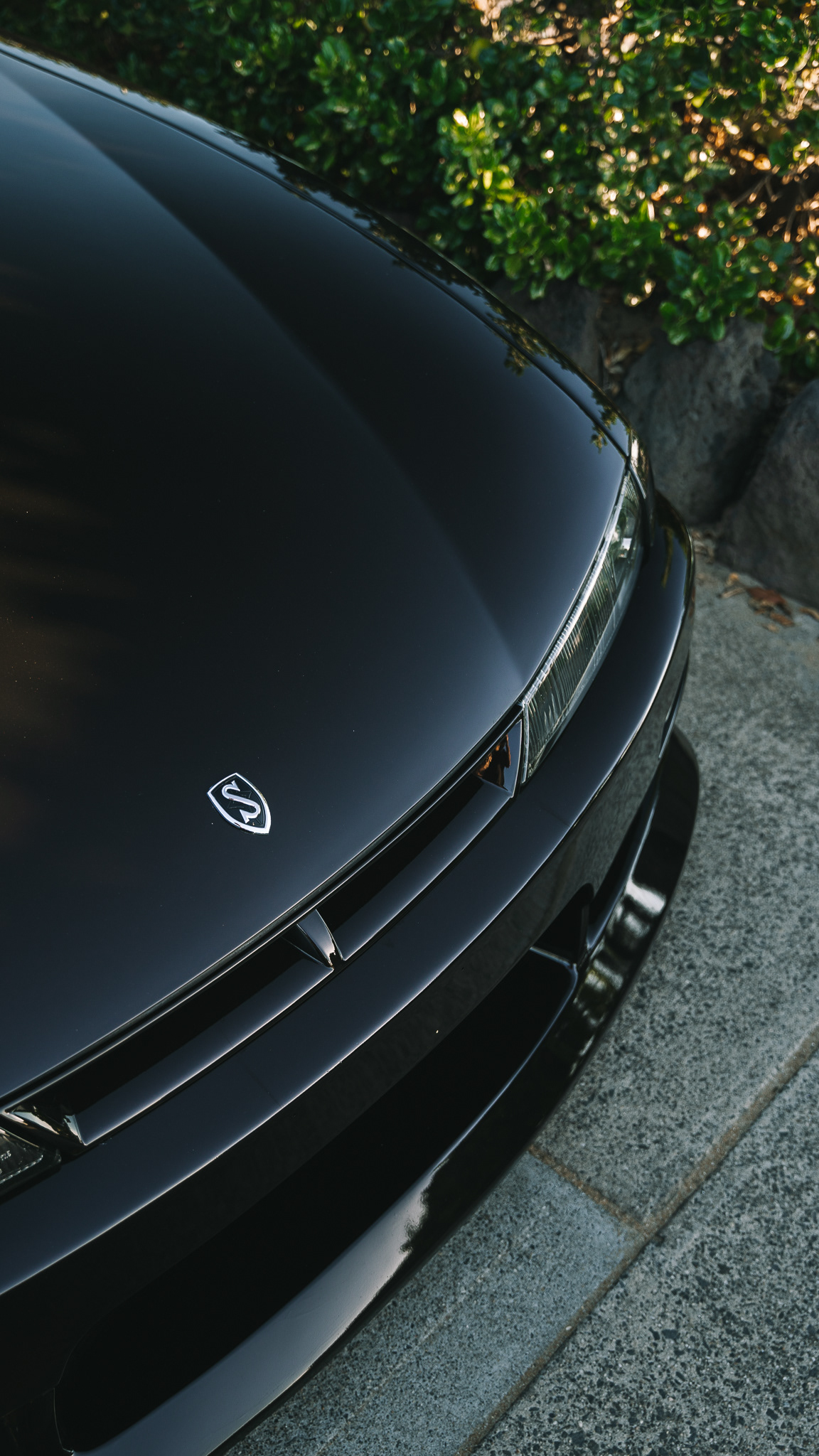 Harry's S14