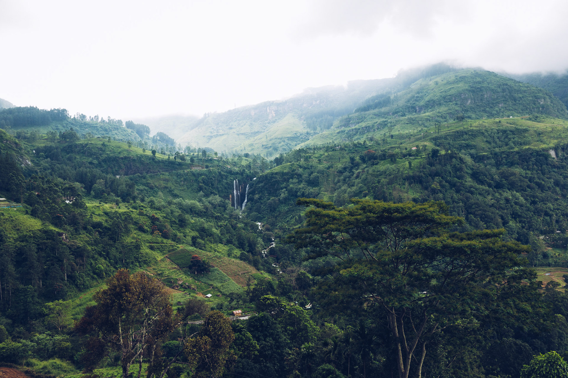 Sri Lanka