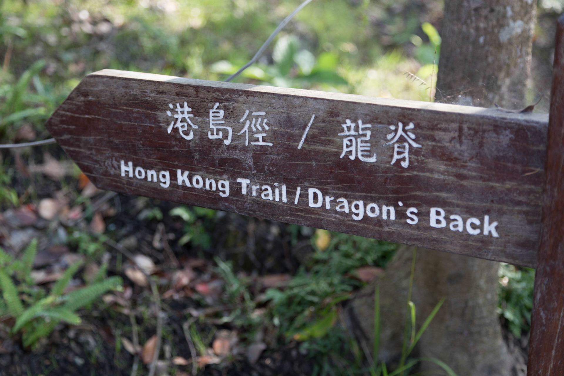 Hong Kong