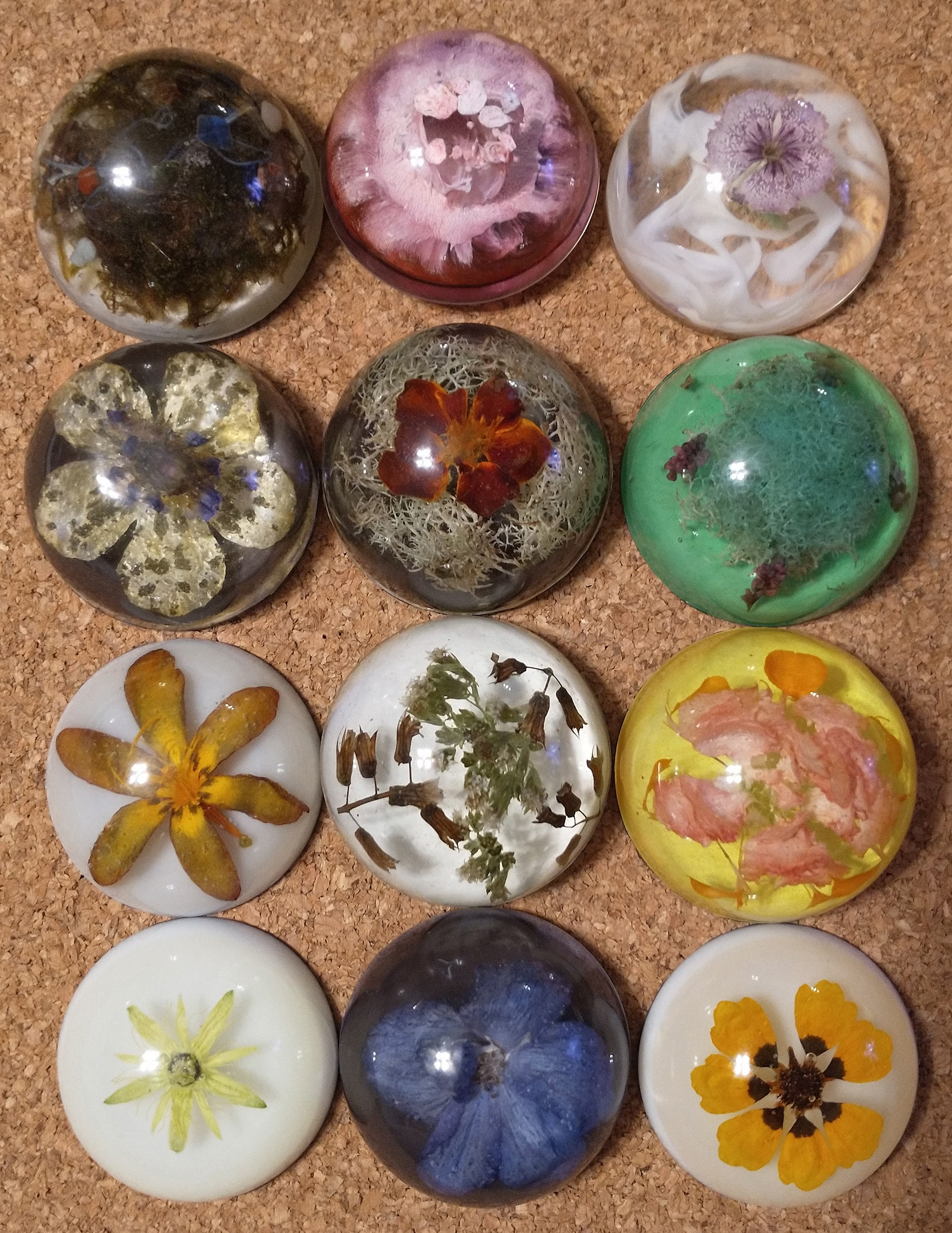 Dome Magnets with Dried Flowers