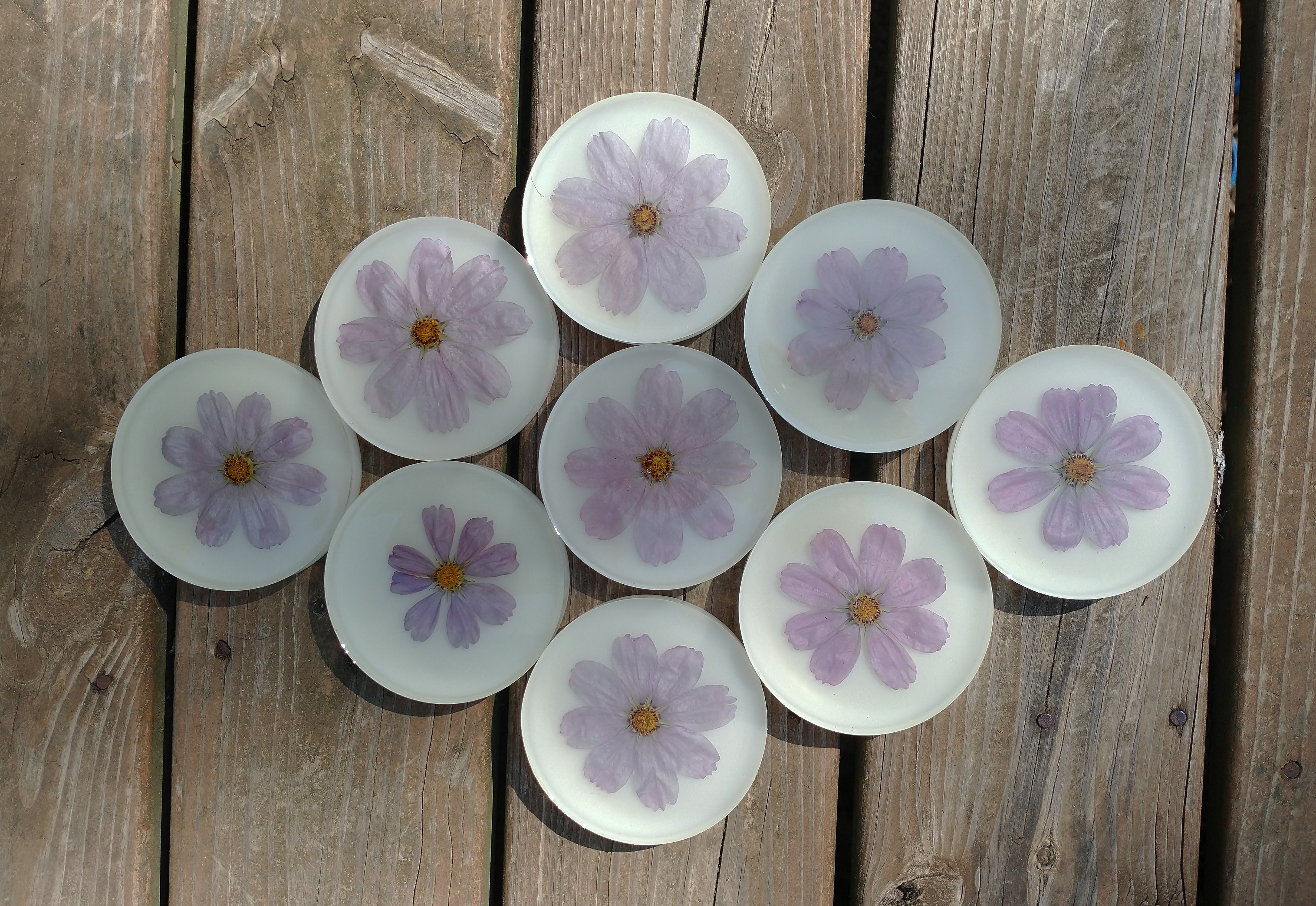 Flower Coasters