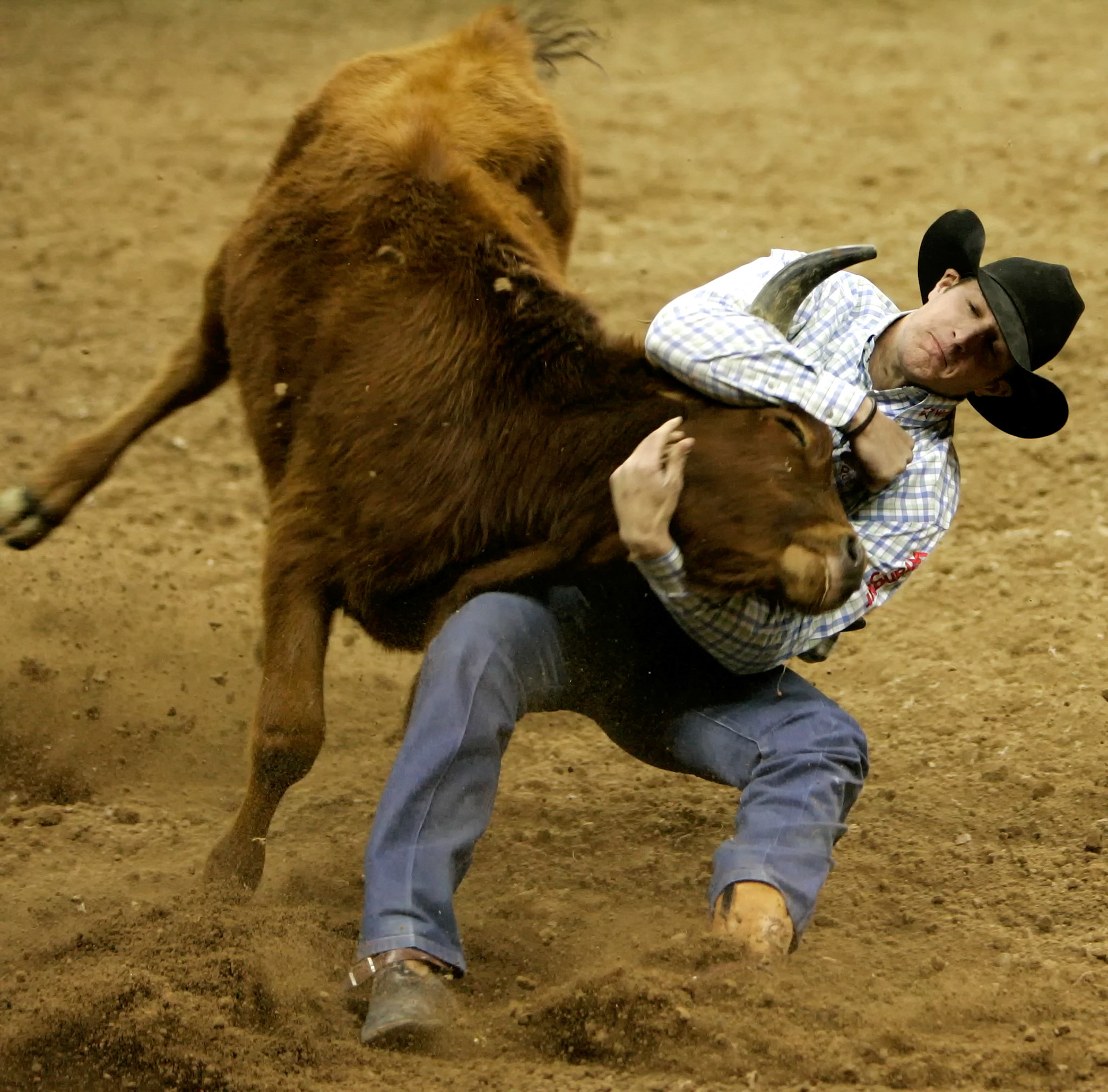 NFR 2007
Trevor Knowles