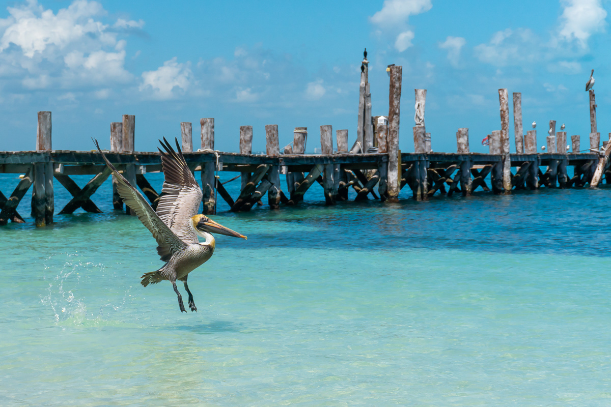 Cancun