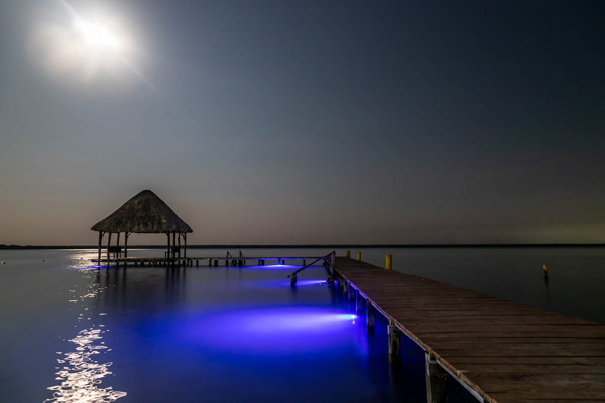 Bacalar