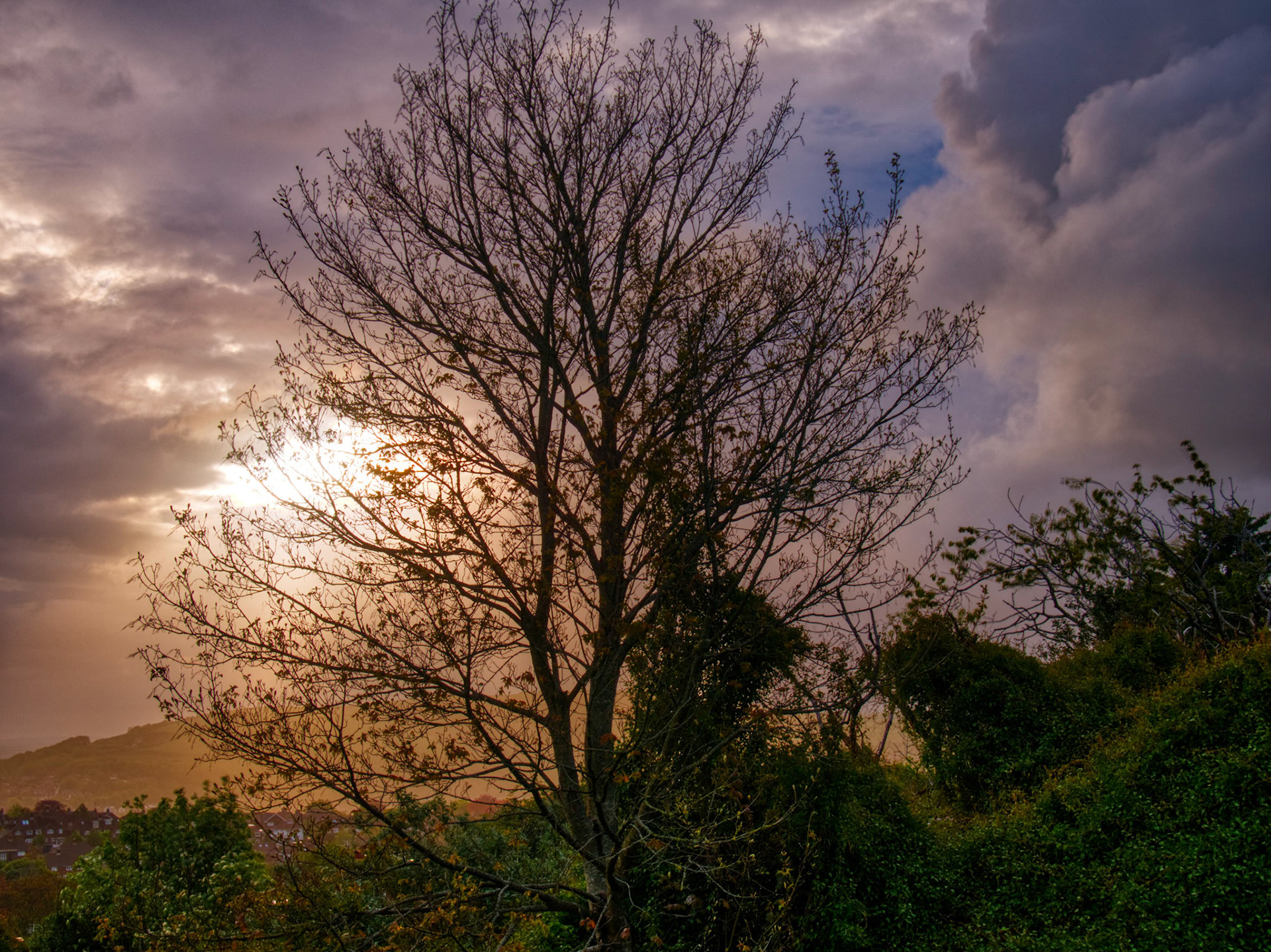 Early Sun and Clouds
