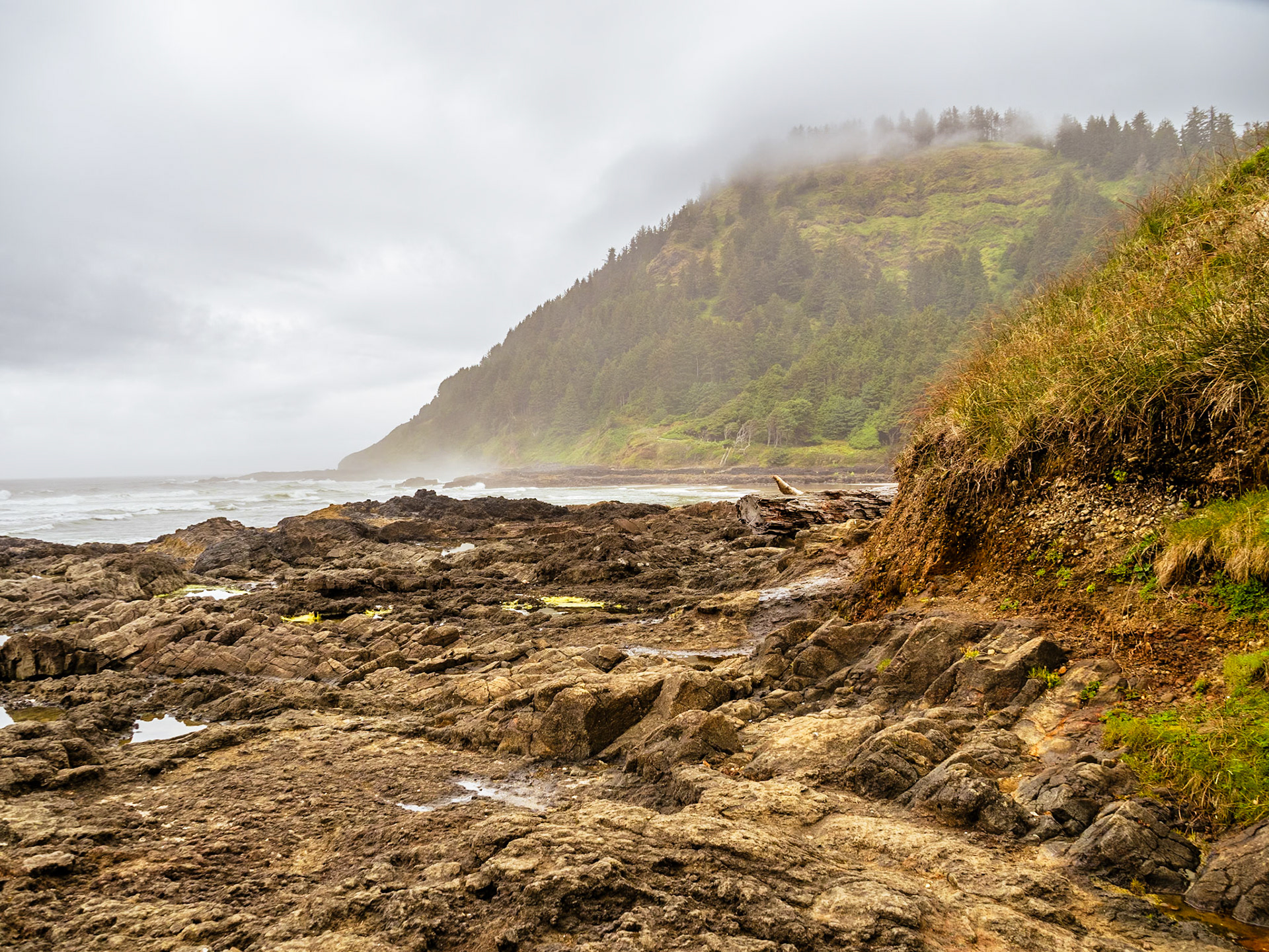 Cape Perpetua