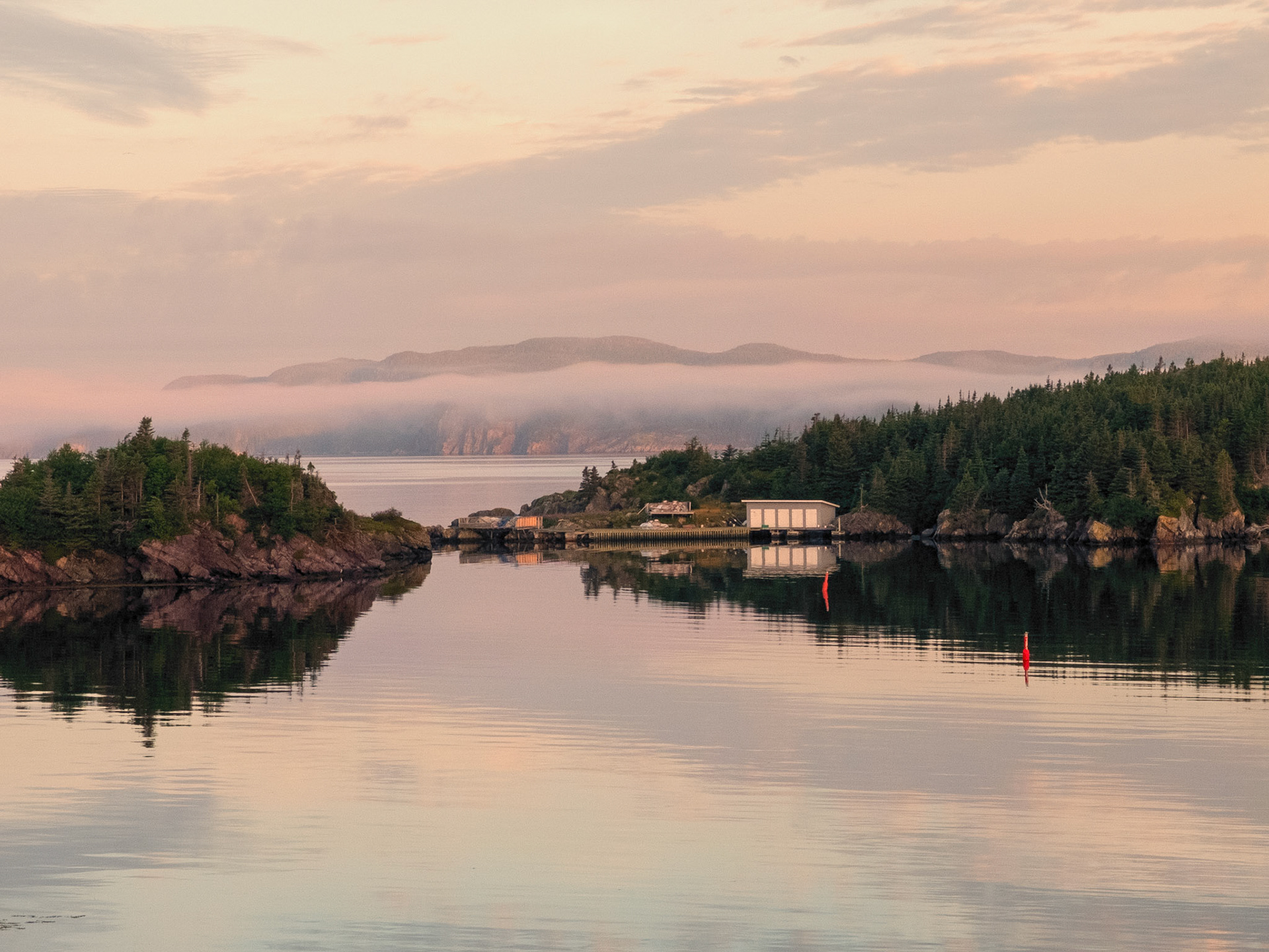 Newfoundland Morning