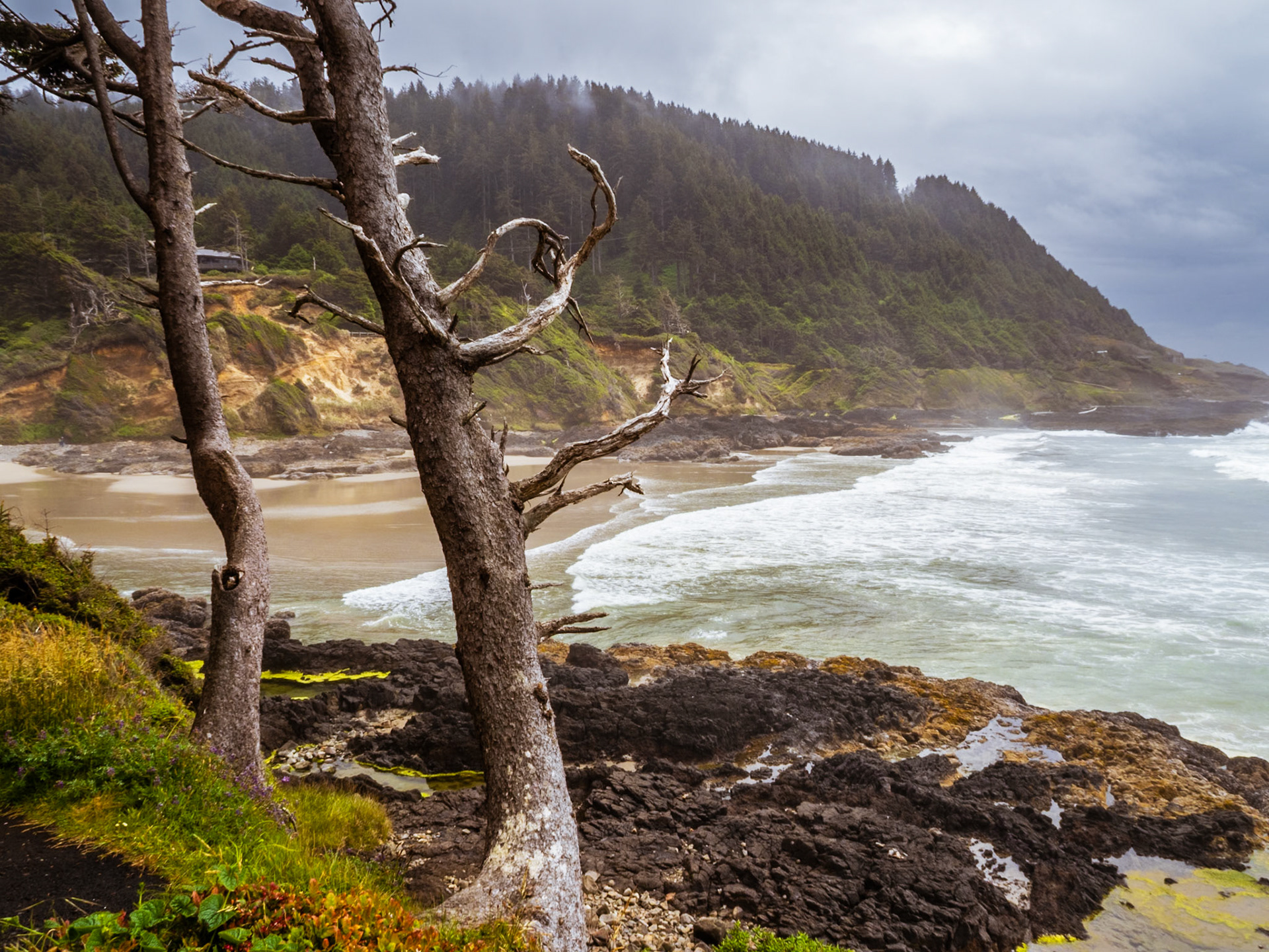 Cape Perpetua