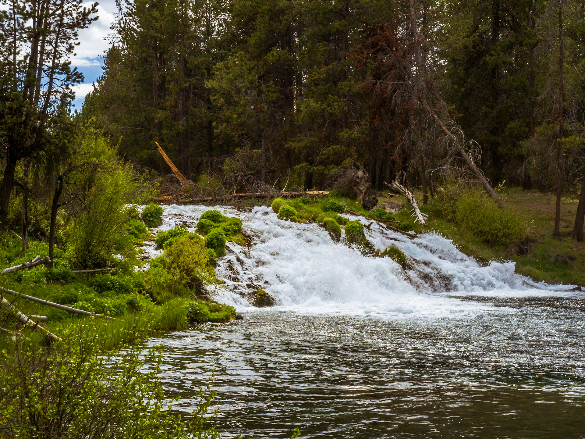 La Pine State Park