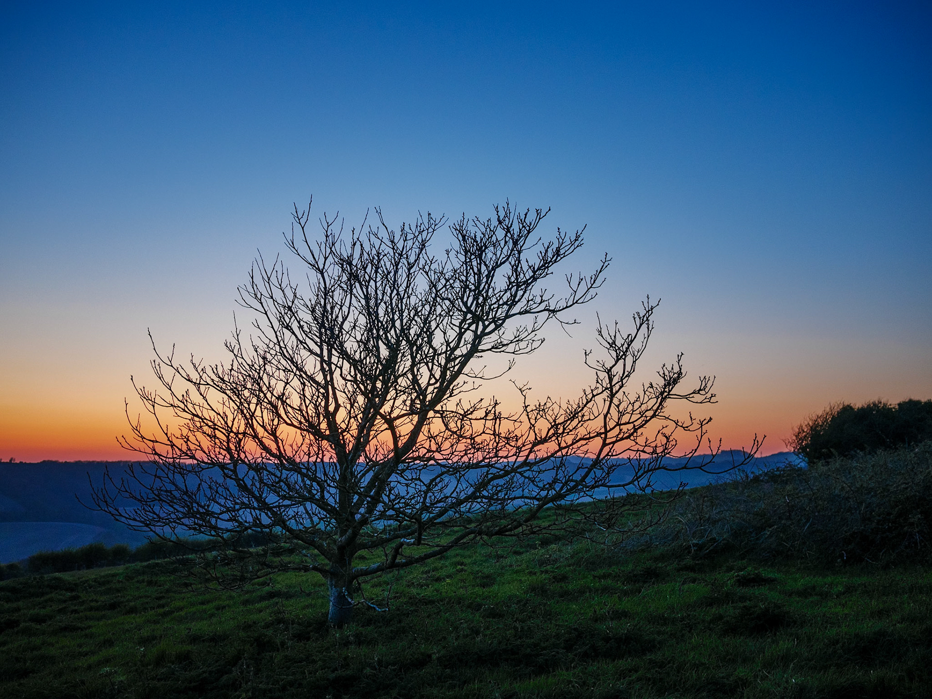 South Downs after Sunset