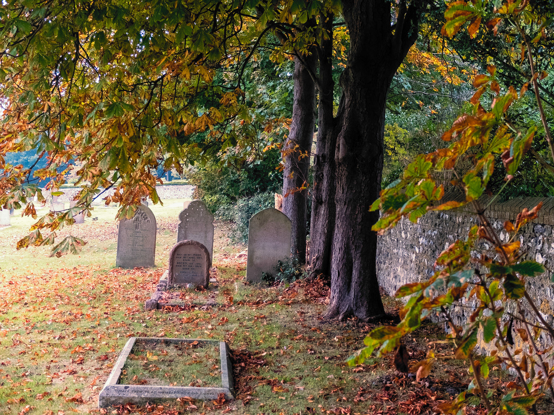 Lewes Cemetery Autumn