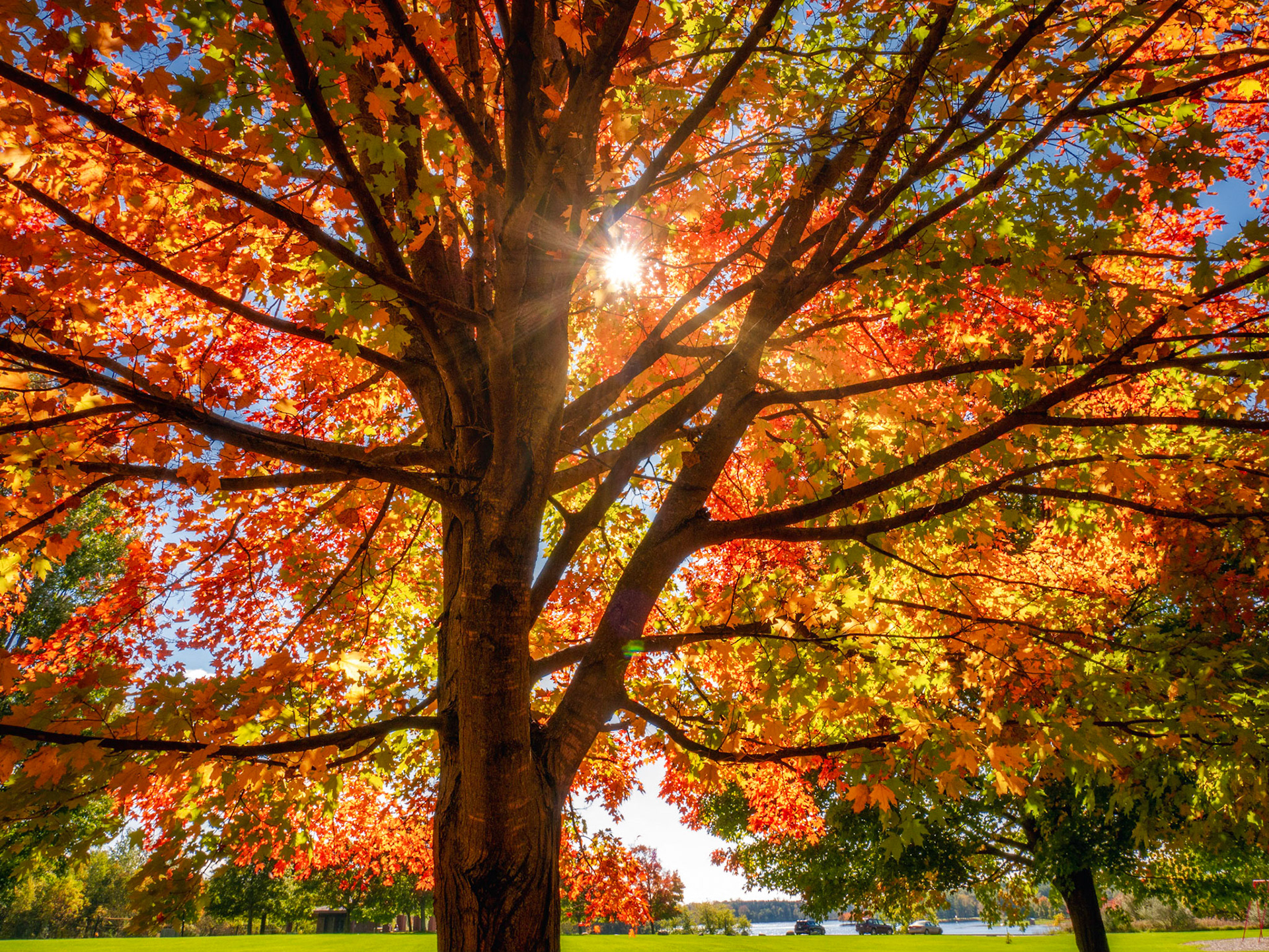 Michigan Autumn 2018