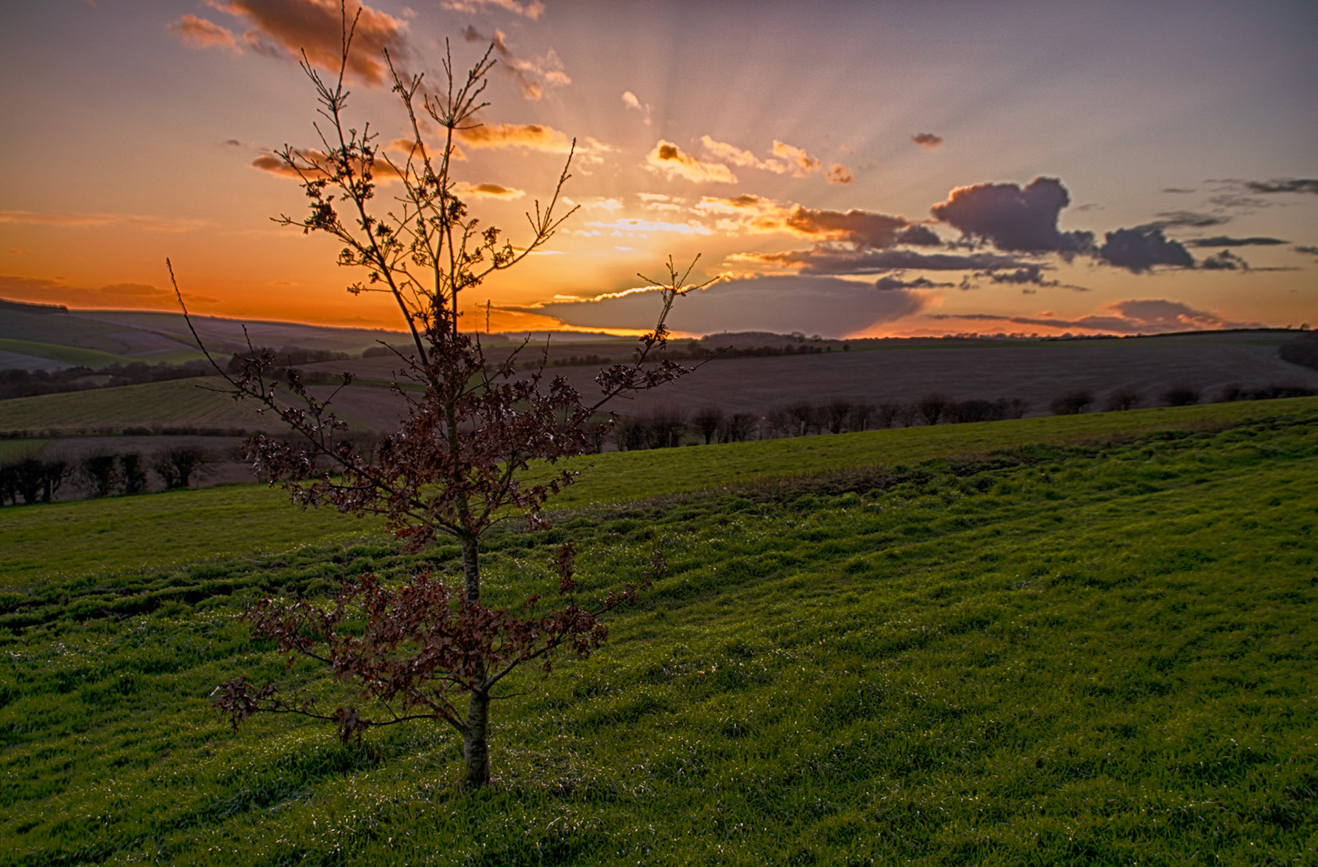 South Downs Sunset
