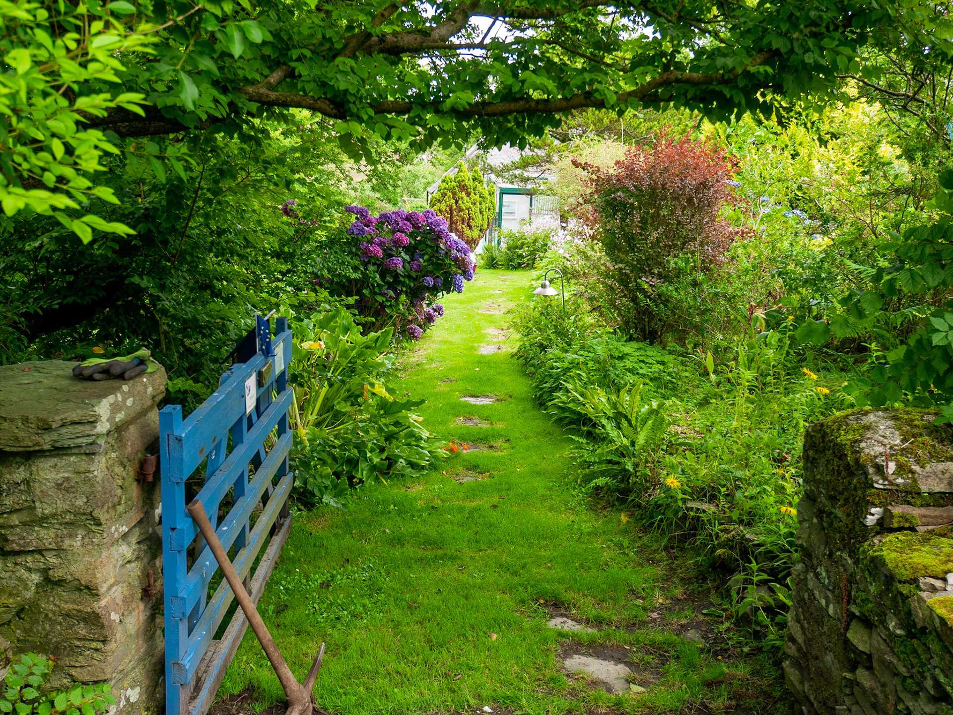 Ireland - South Coast
