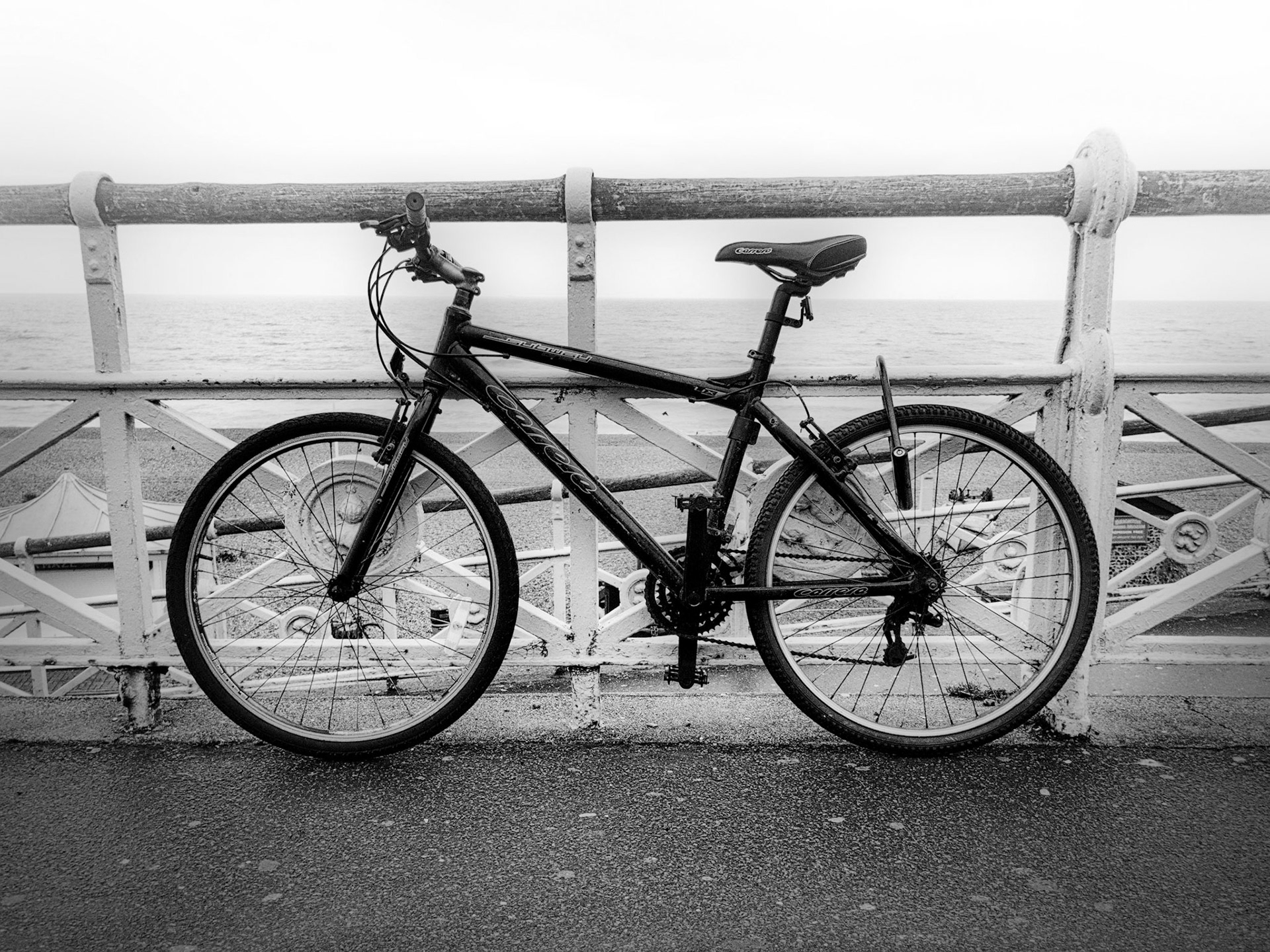 Brighton Bicycle