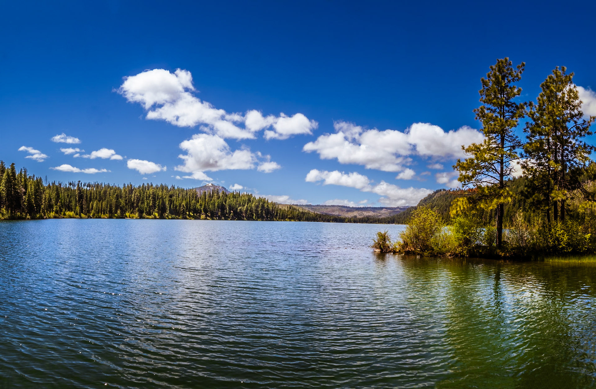 Suttle Lake