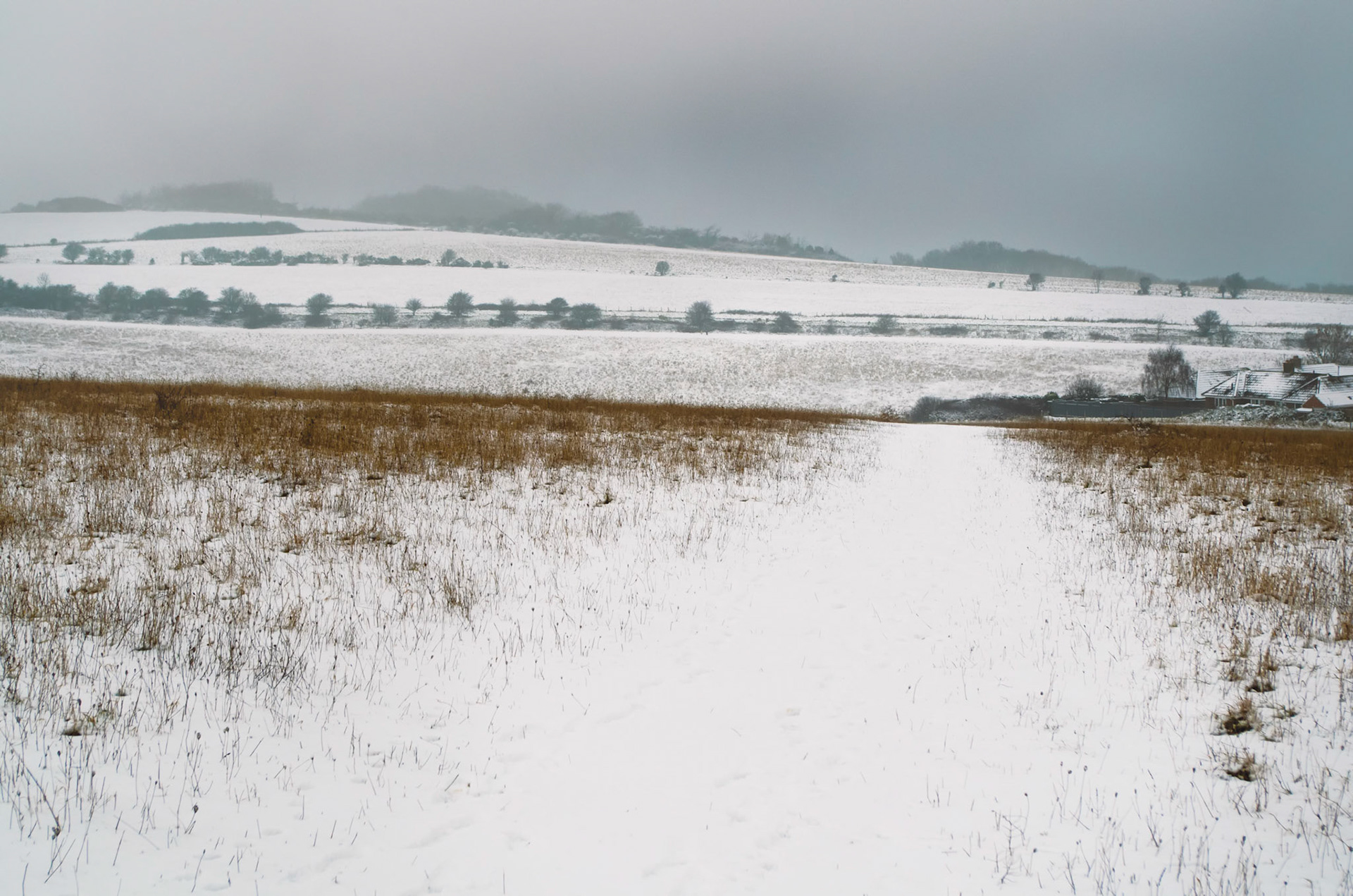 South Downs Snow