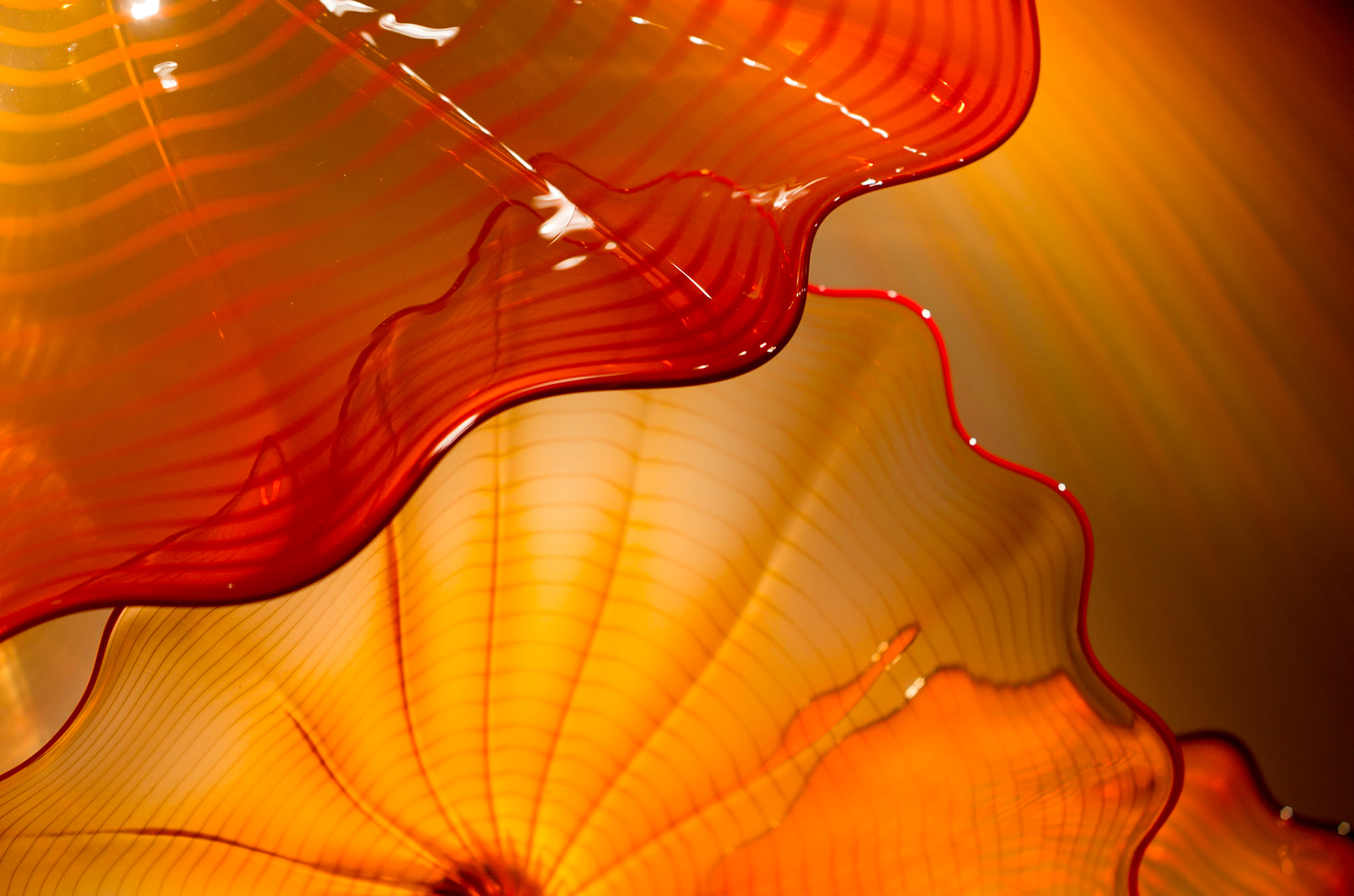 Chihuly Collection, St Petersburg, FL