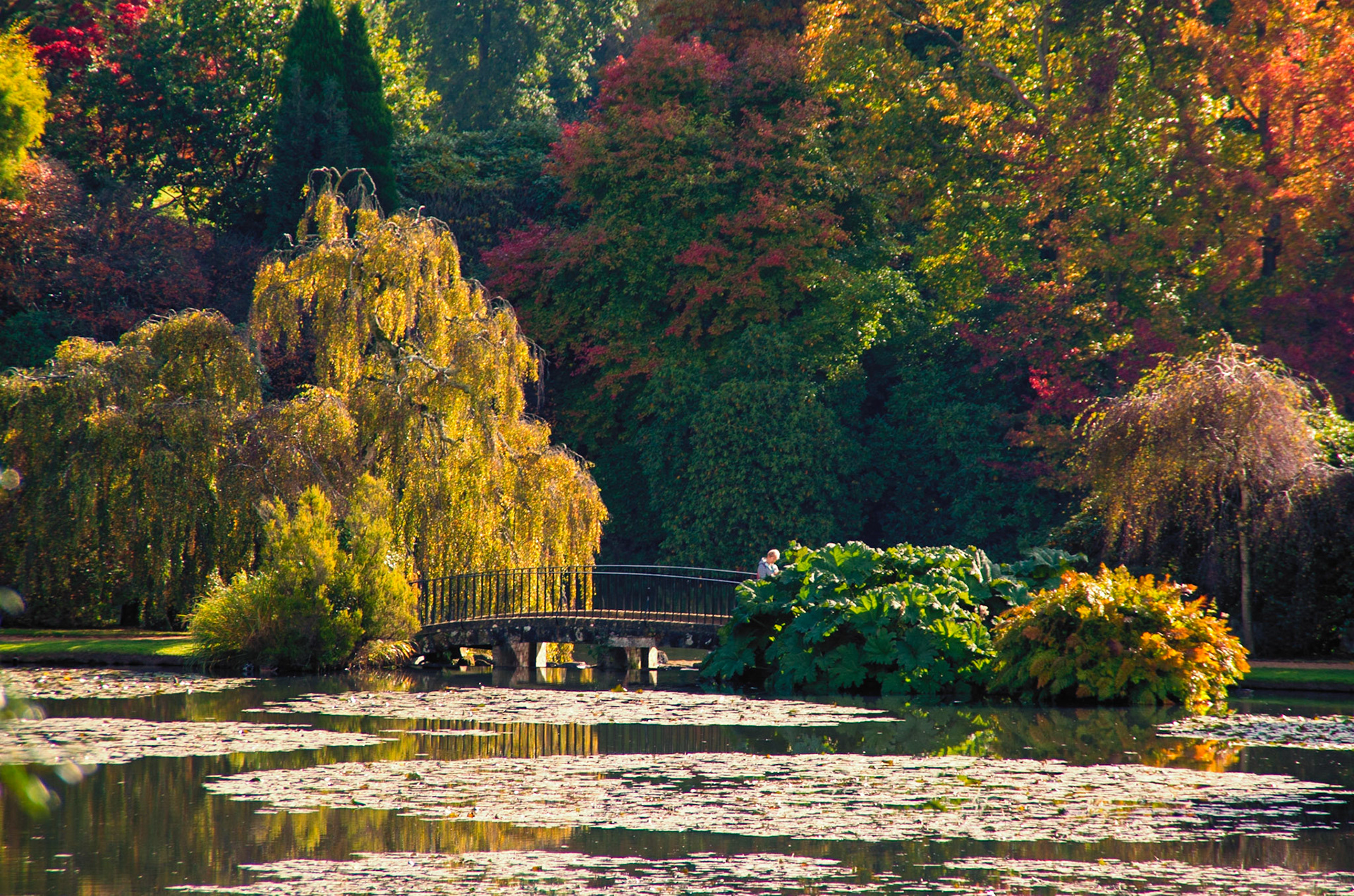 Autumn at Sheffield Park