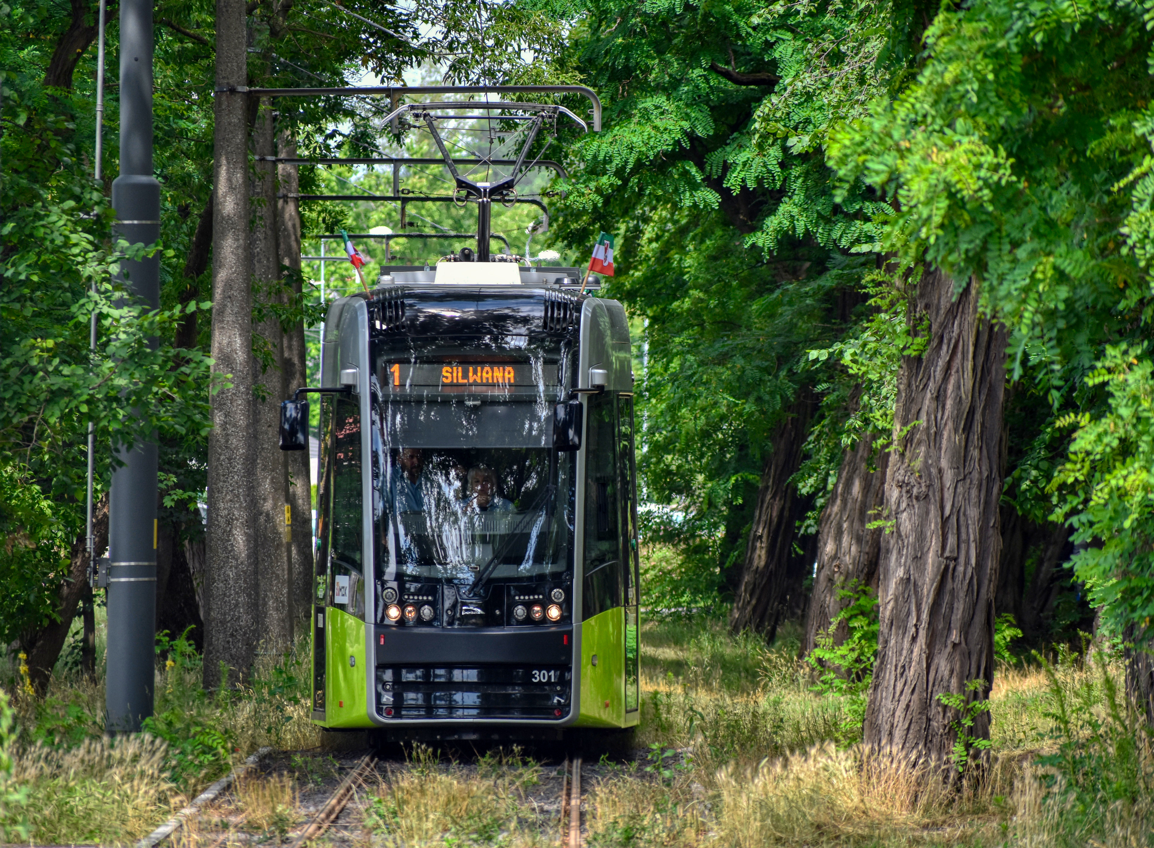 Instagram @tramwaystic