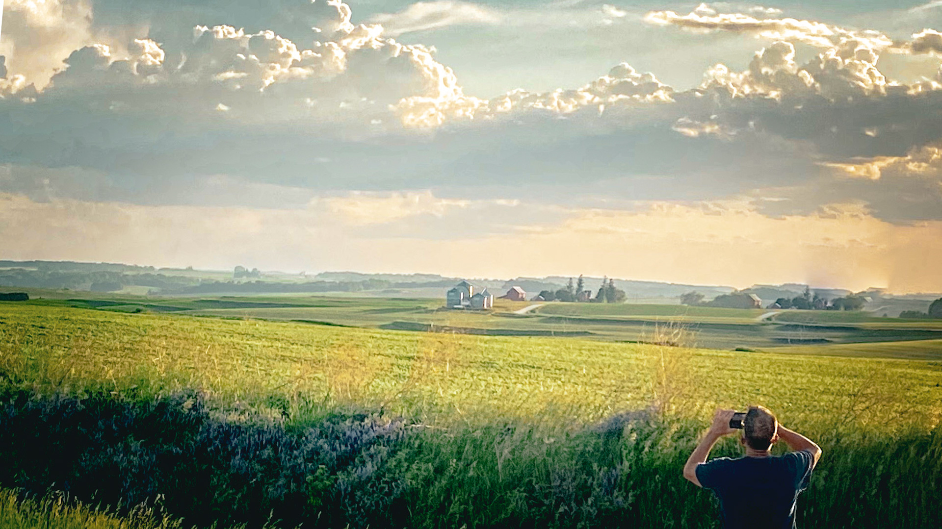 A Much Needed Helper