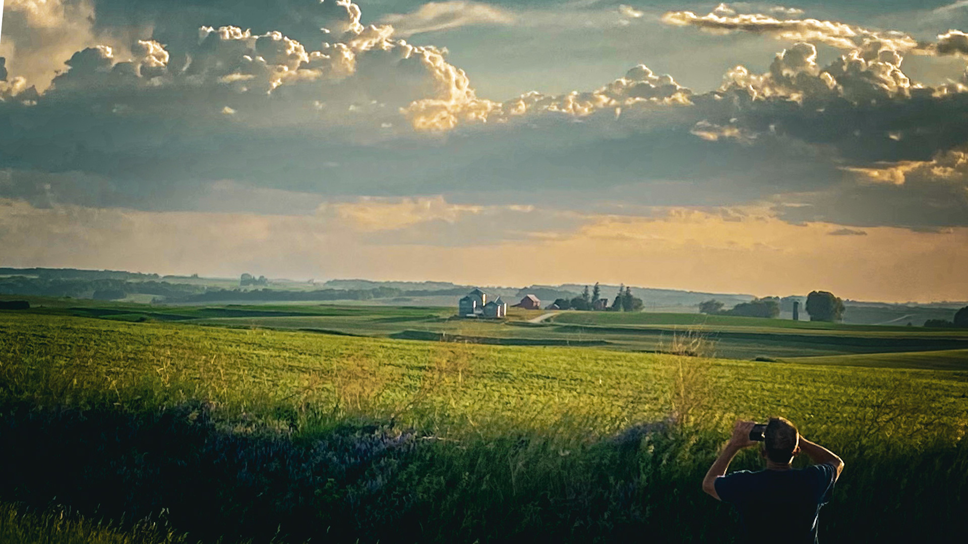 A Much Needed Helper