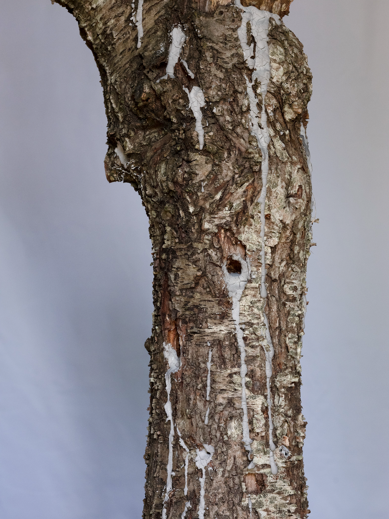 Detail of Come un Gioco, installation at Crumb Gallery for Ecoansia exhibition