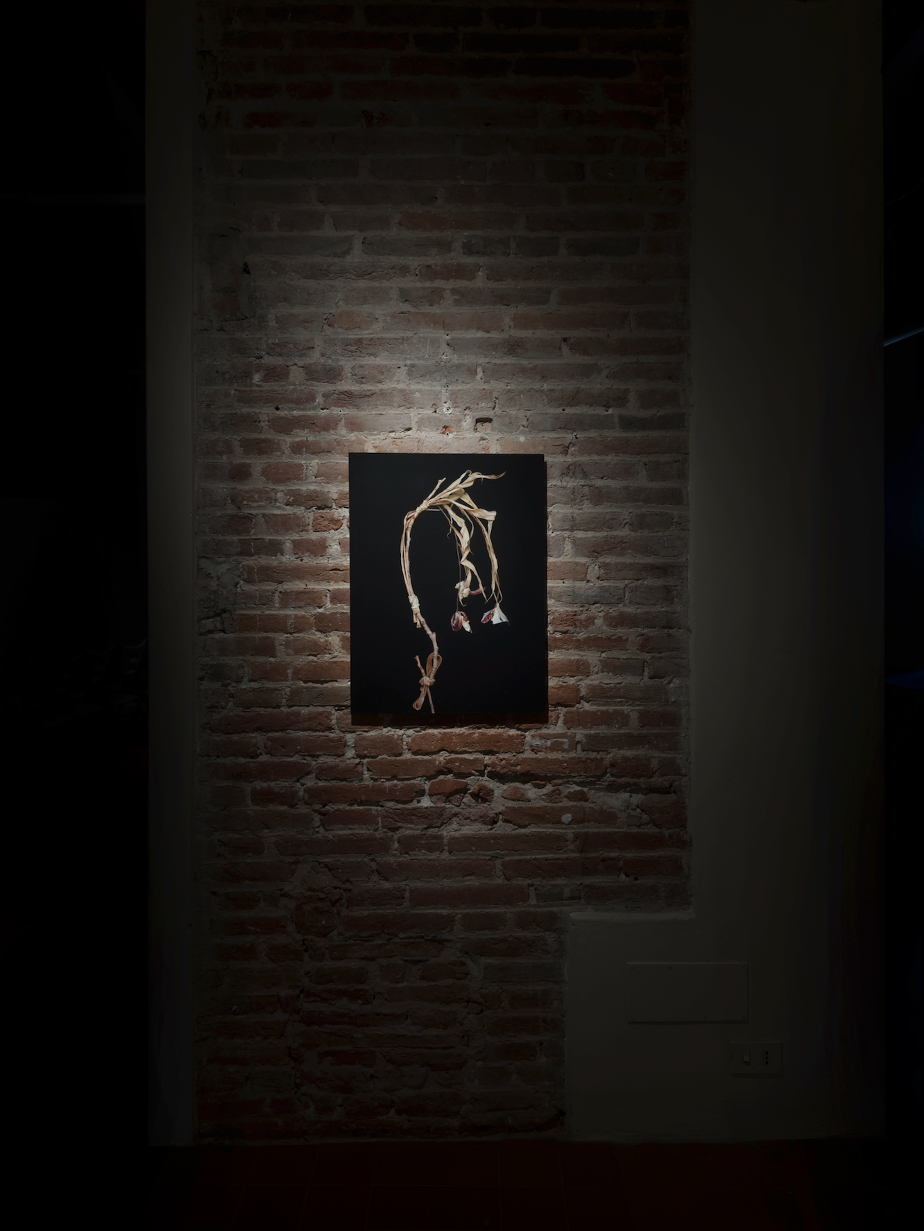 Lo Stato dell'Arte, Palazzo Lanfranchi, Pisa, Italy, April 2026