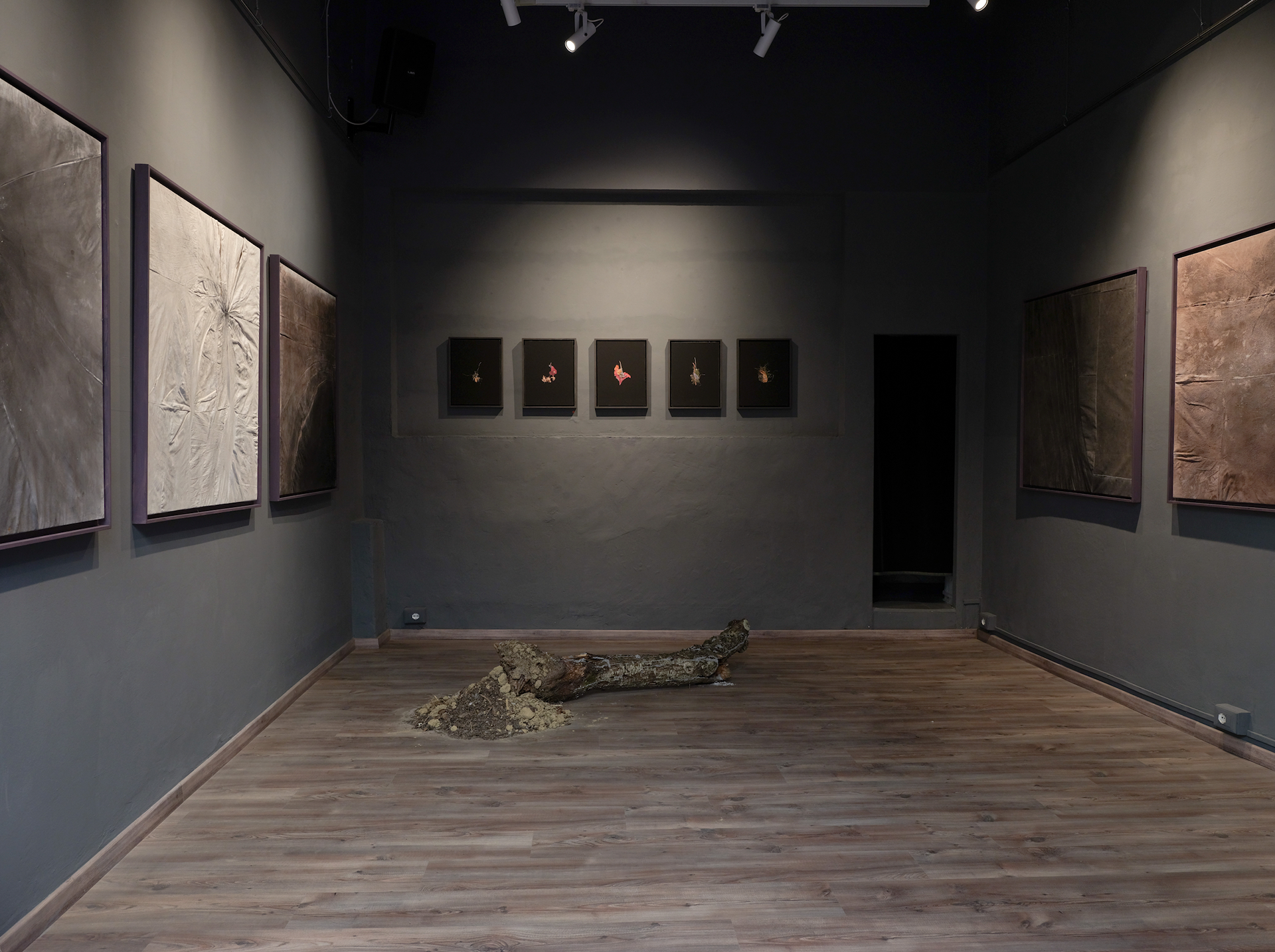 Ecoansia, Crumb Gallery, Firenze, Italy, June 2024