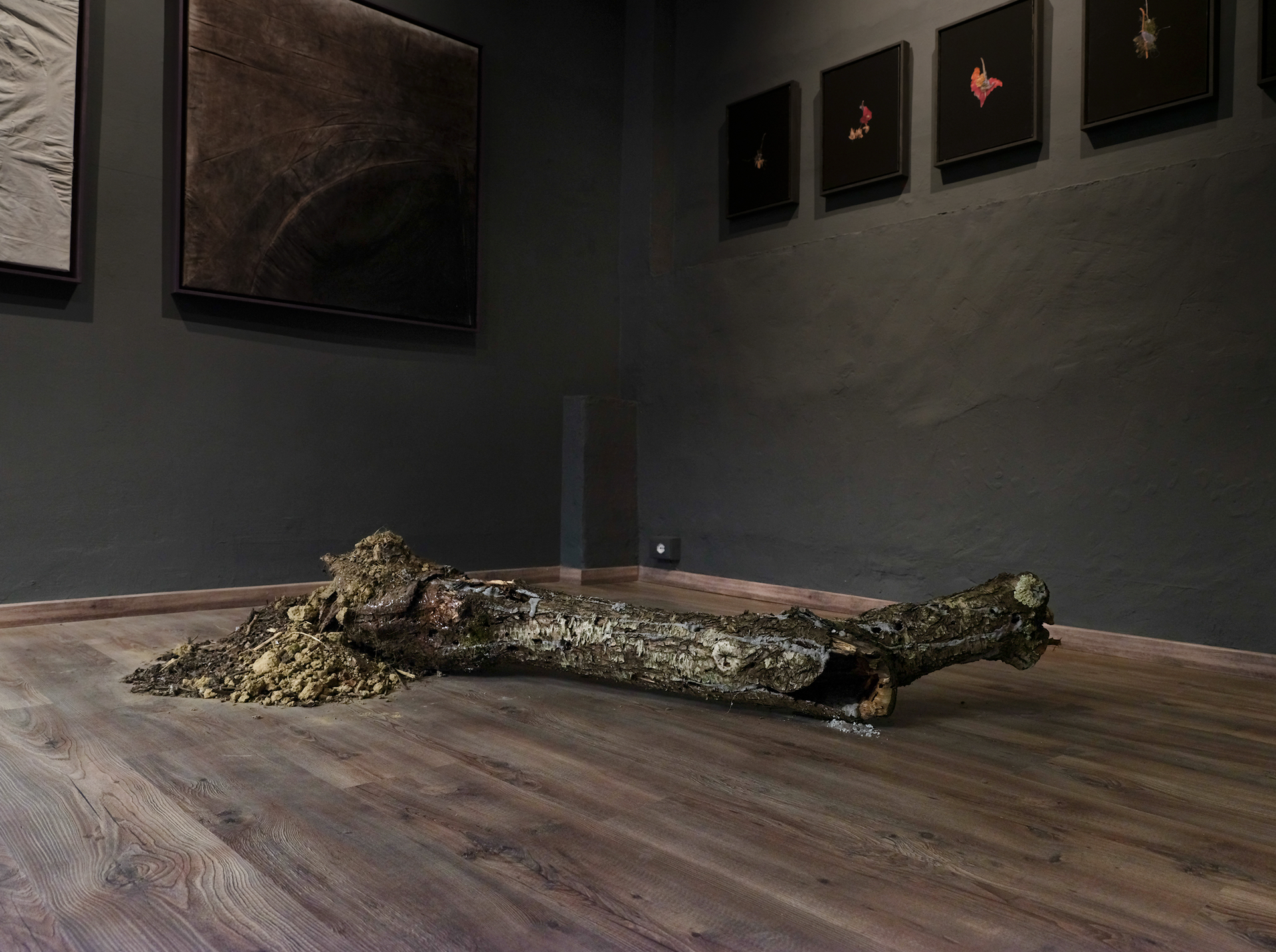 Ecoansia, Crumb Gallery, Firenze, Italy, June 2024