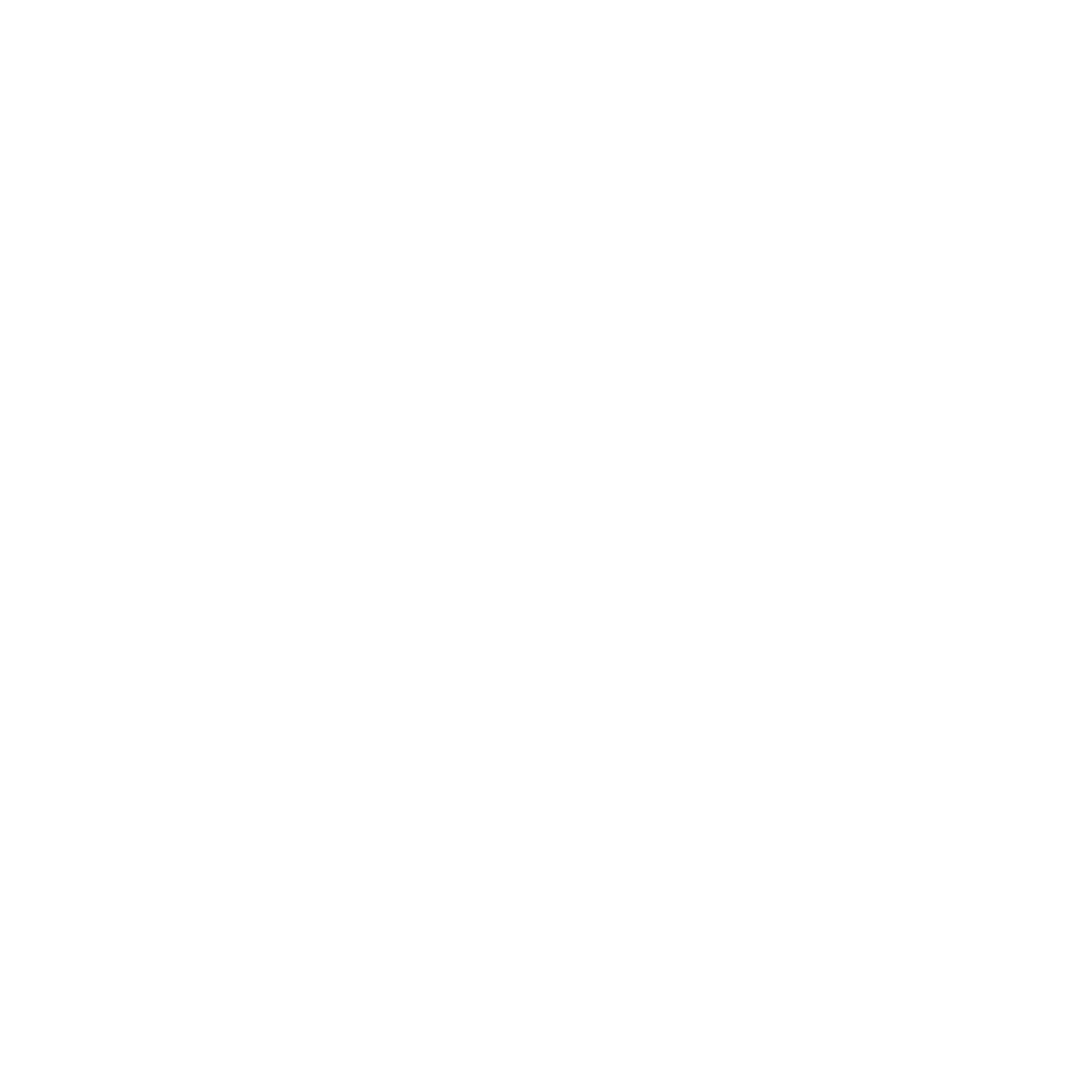 Icon Alternate - White