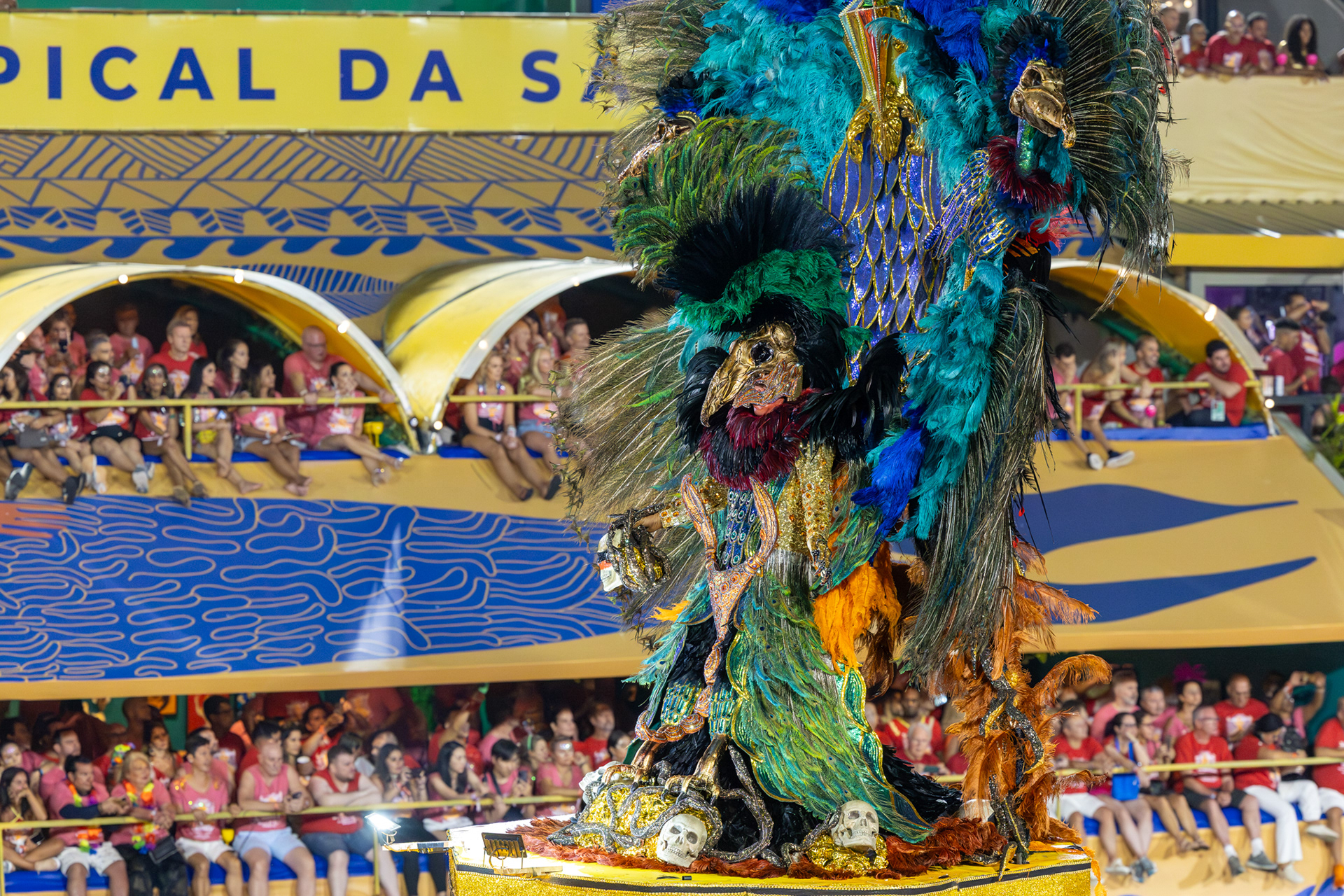 Salgueiro